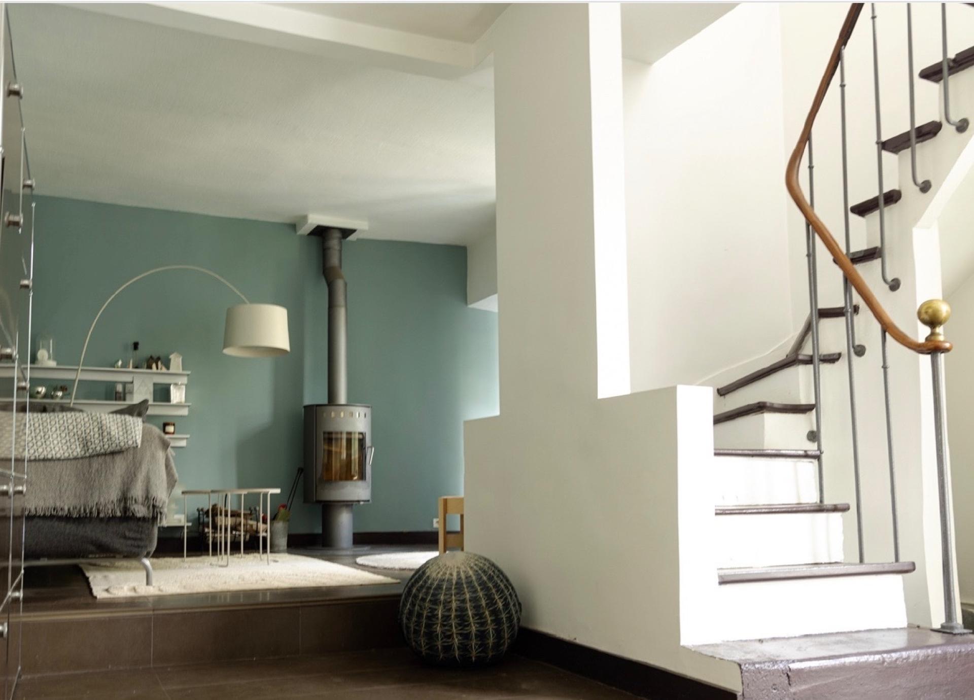 Photo 5 de l'annonce.