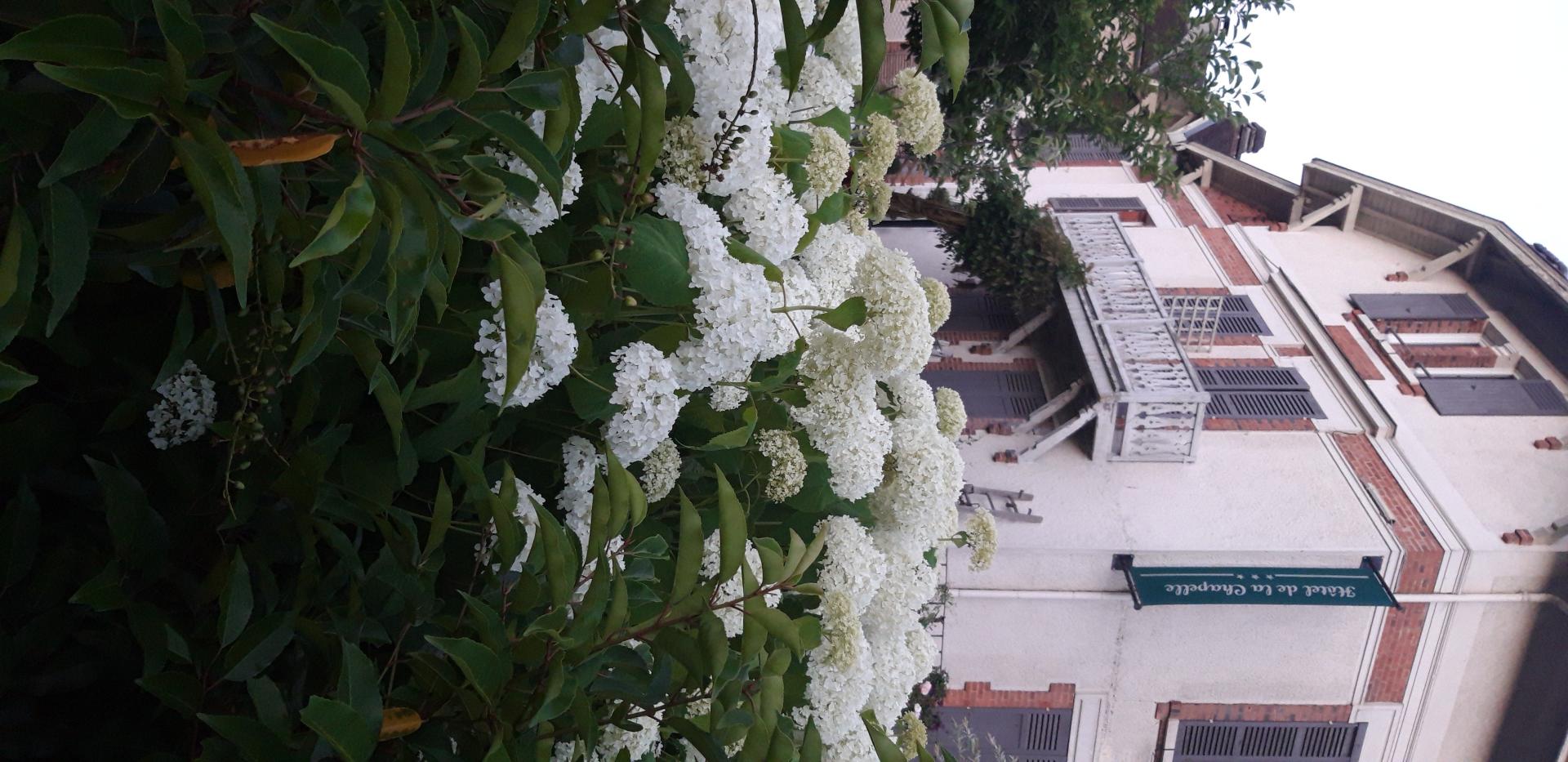 Photo 53 de l'annonce.