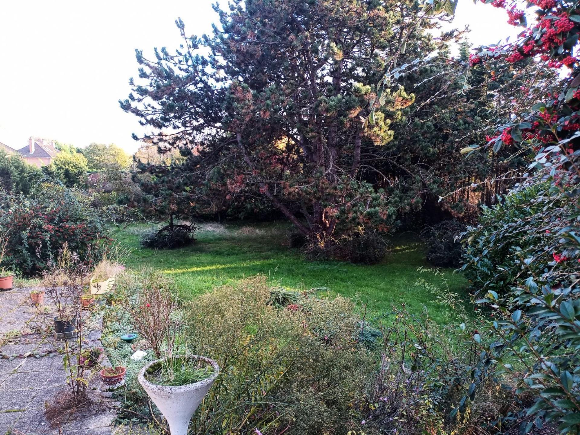 Photo 4 de l'annonce.