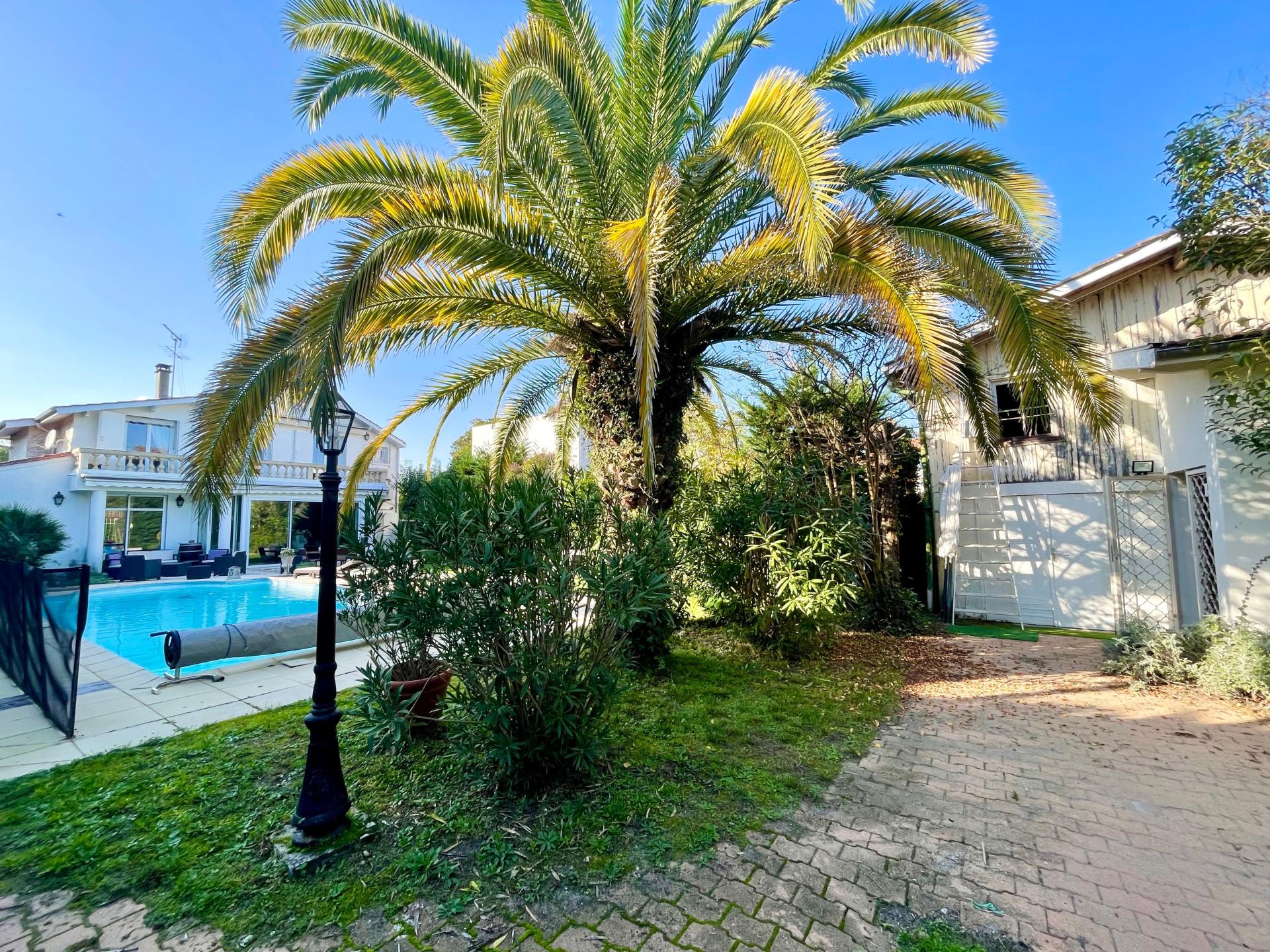 Photo 2 de l'annonce.