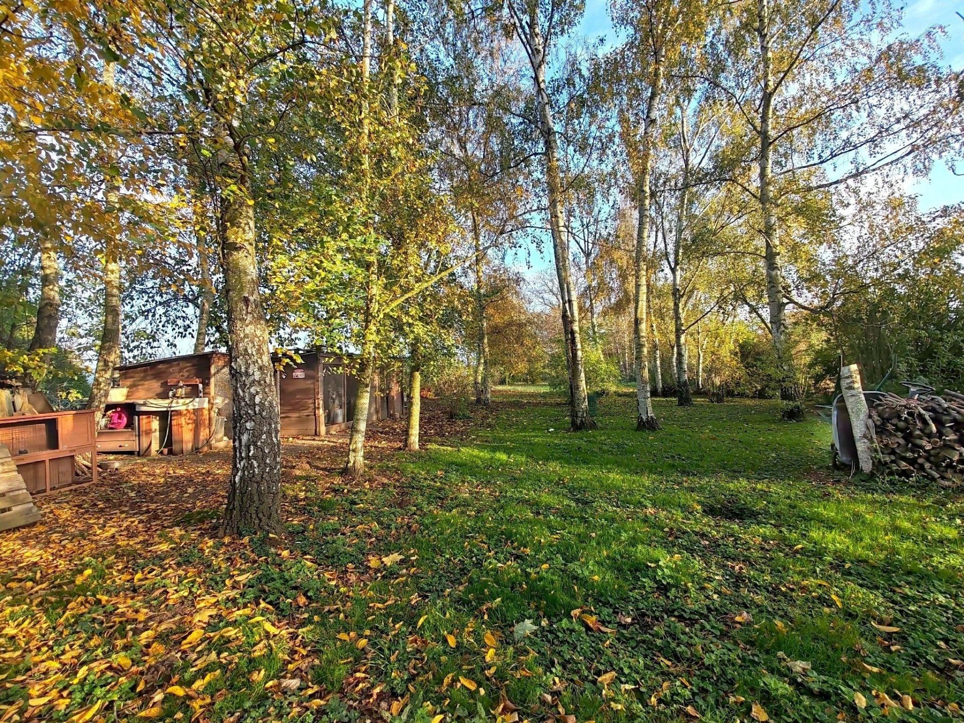 Photo 19 of the listing.