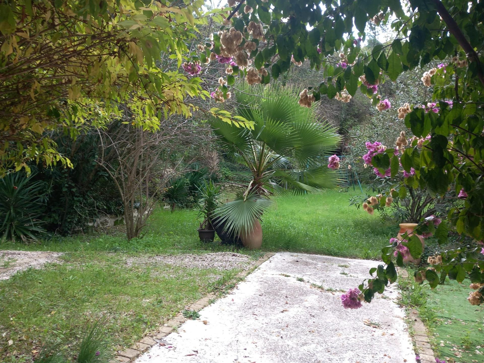 Photo 11 of the listing.