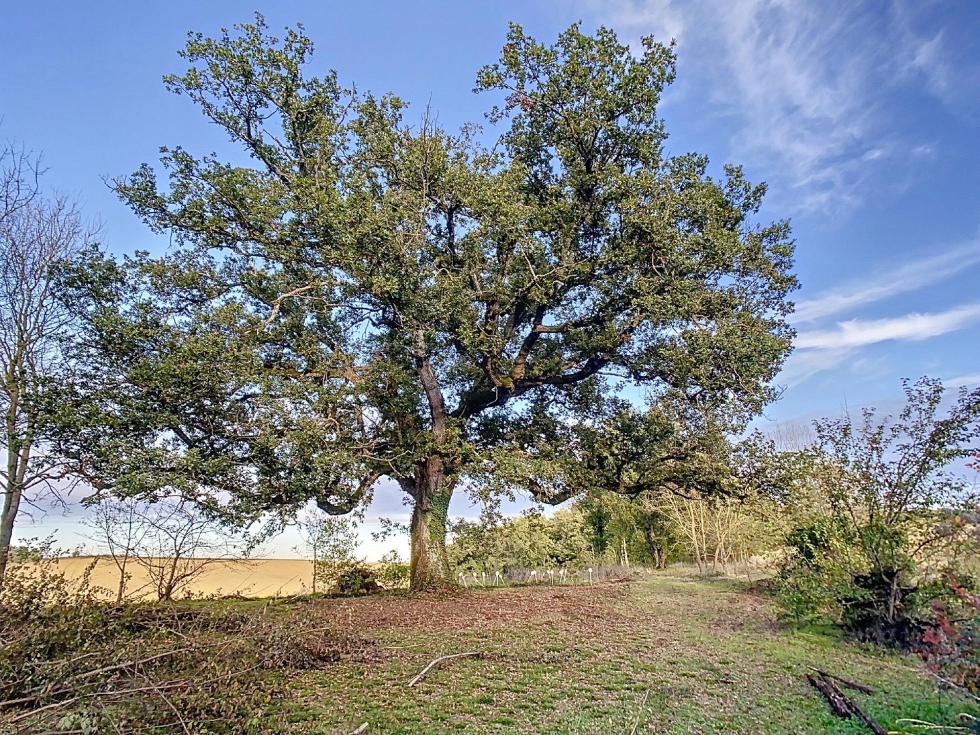 Photo 34 of the listing.