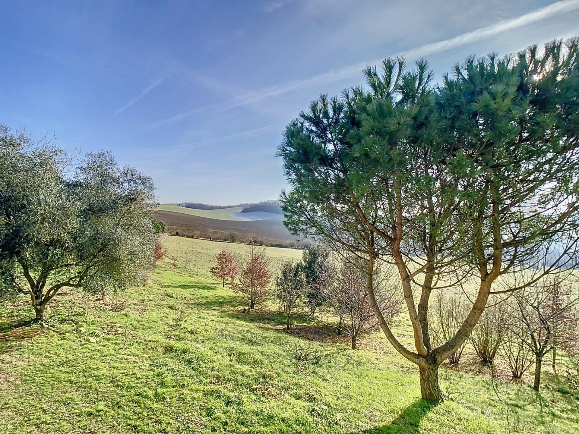 Photo 21 of the listing.