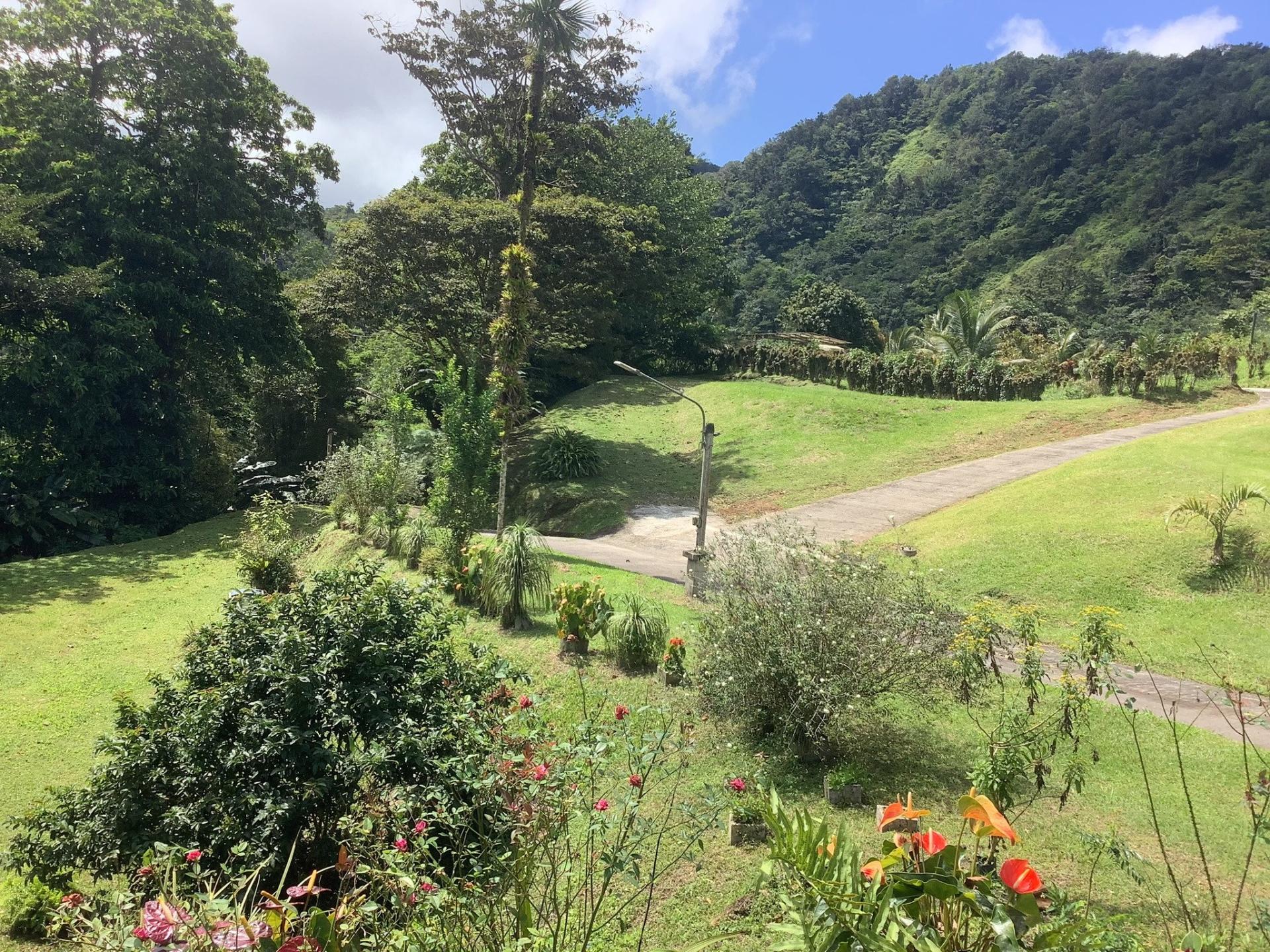 Photo 10 de l'annonce.