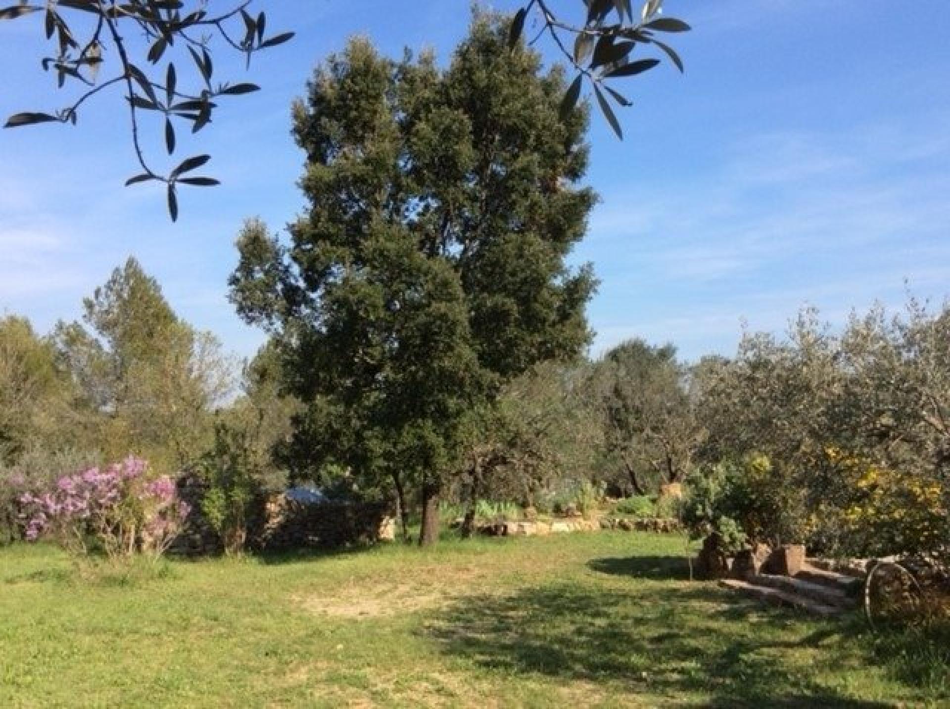 Photo 10 de l'annonce.