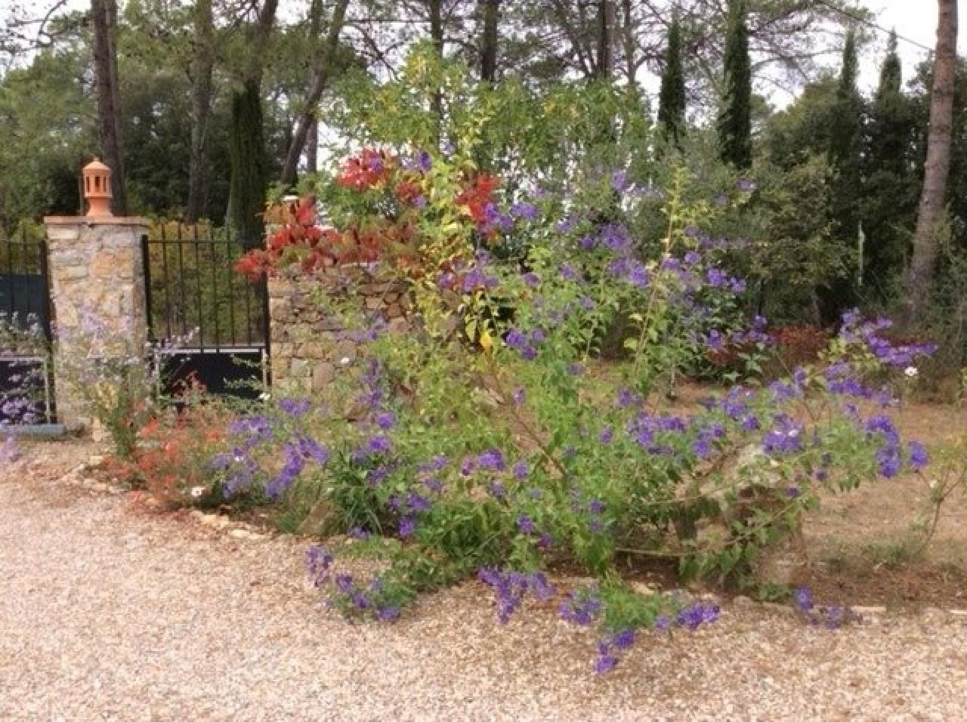 Photo 11 de l'annonce.