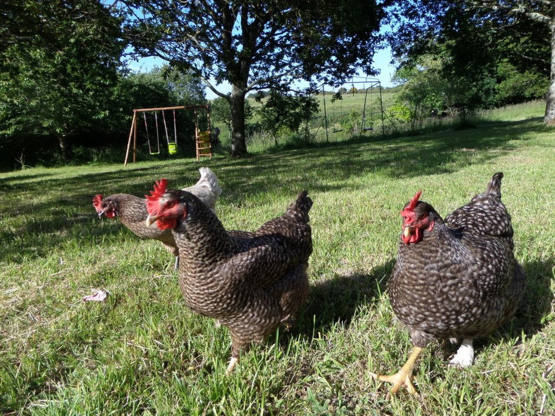 Photo 36 of the listing.