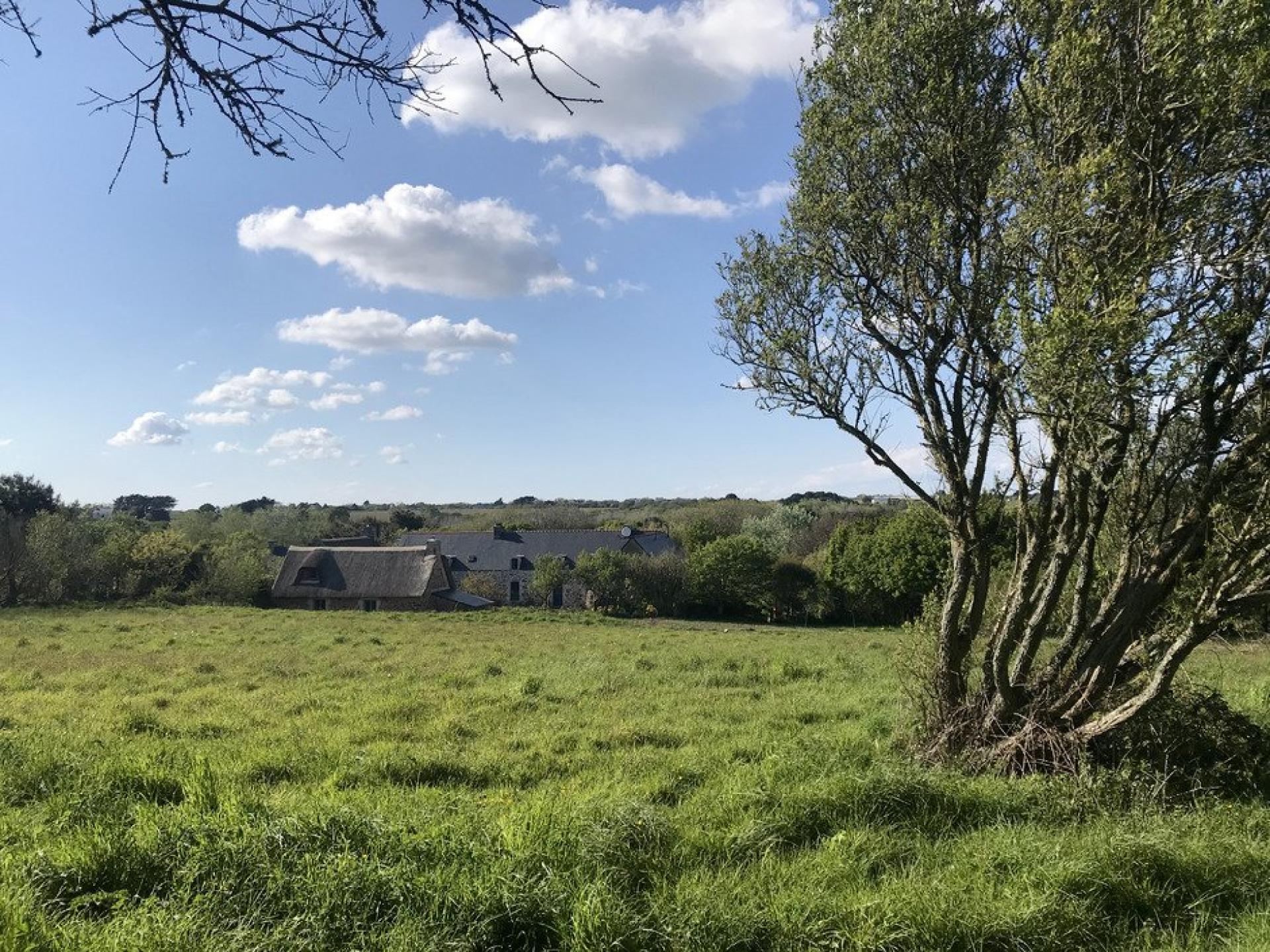 Photo 37 of the listing.