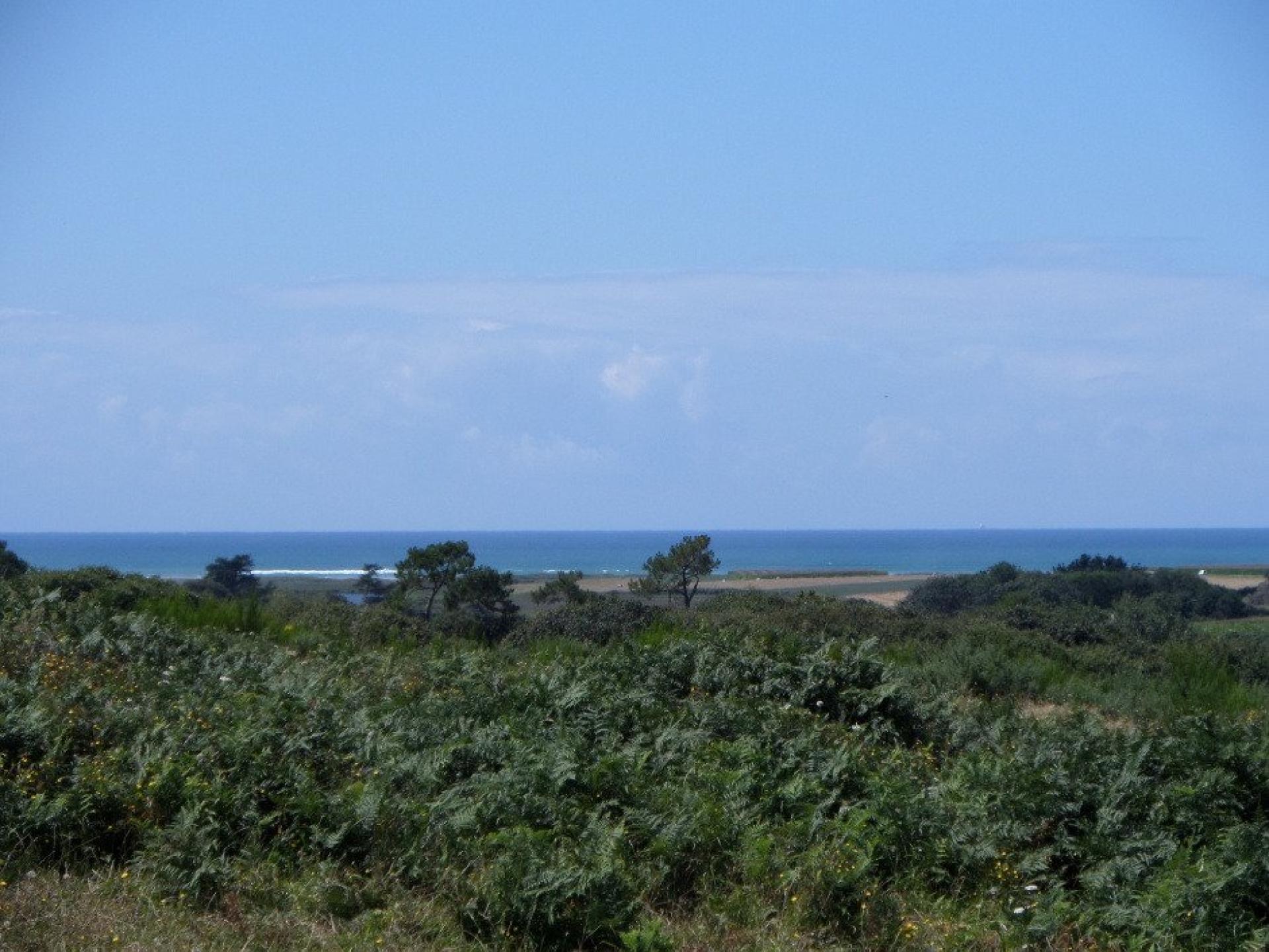 Photo 4 of the listing.