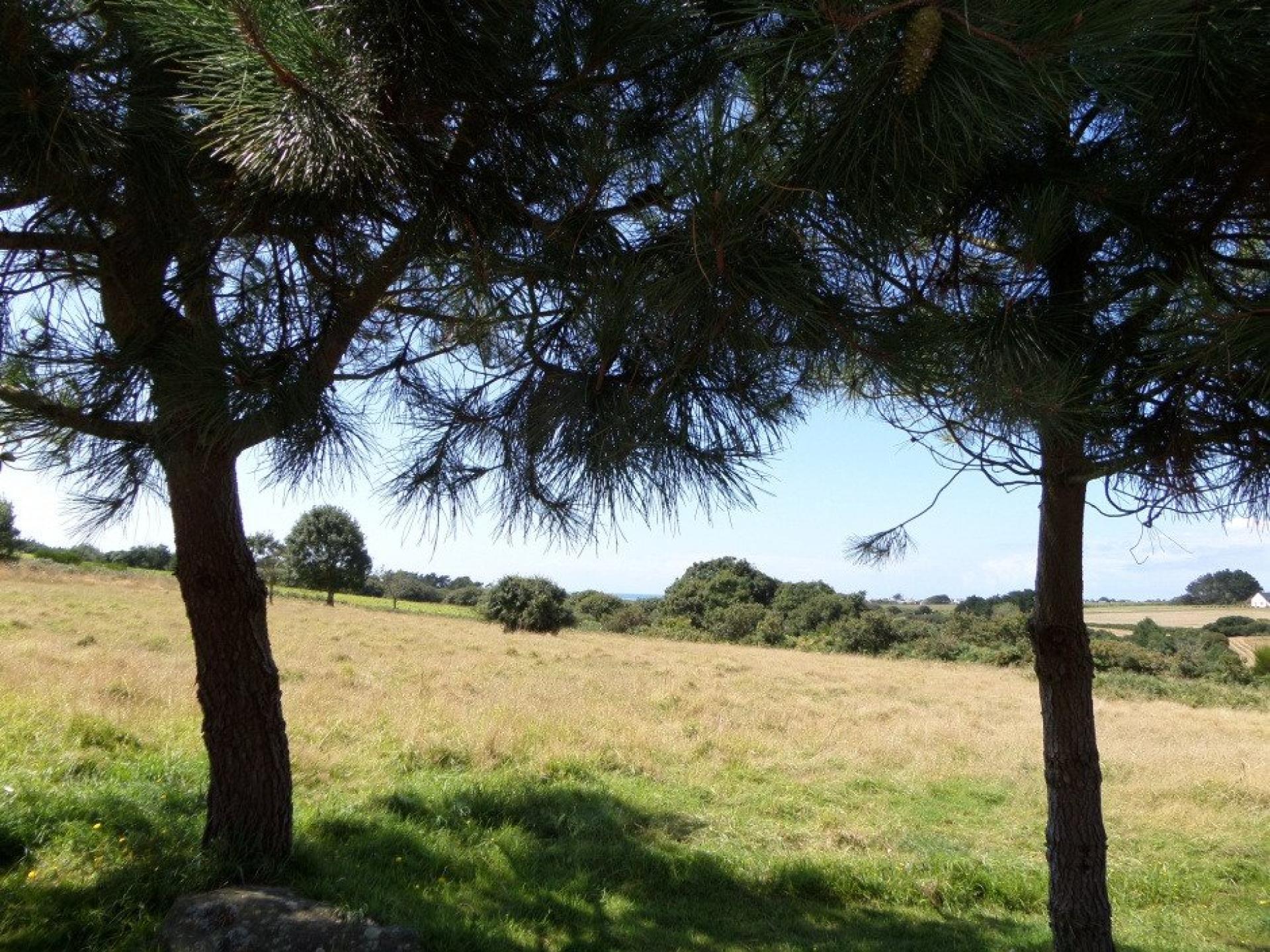 Photo 26 of the listing.