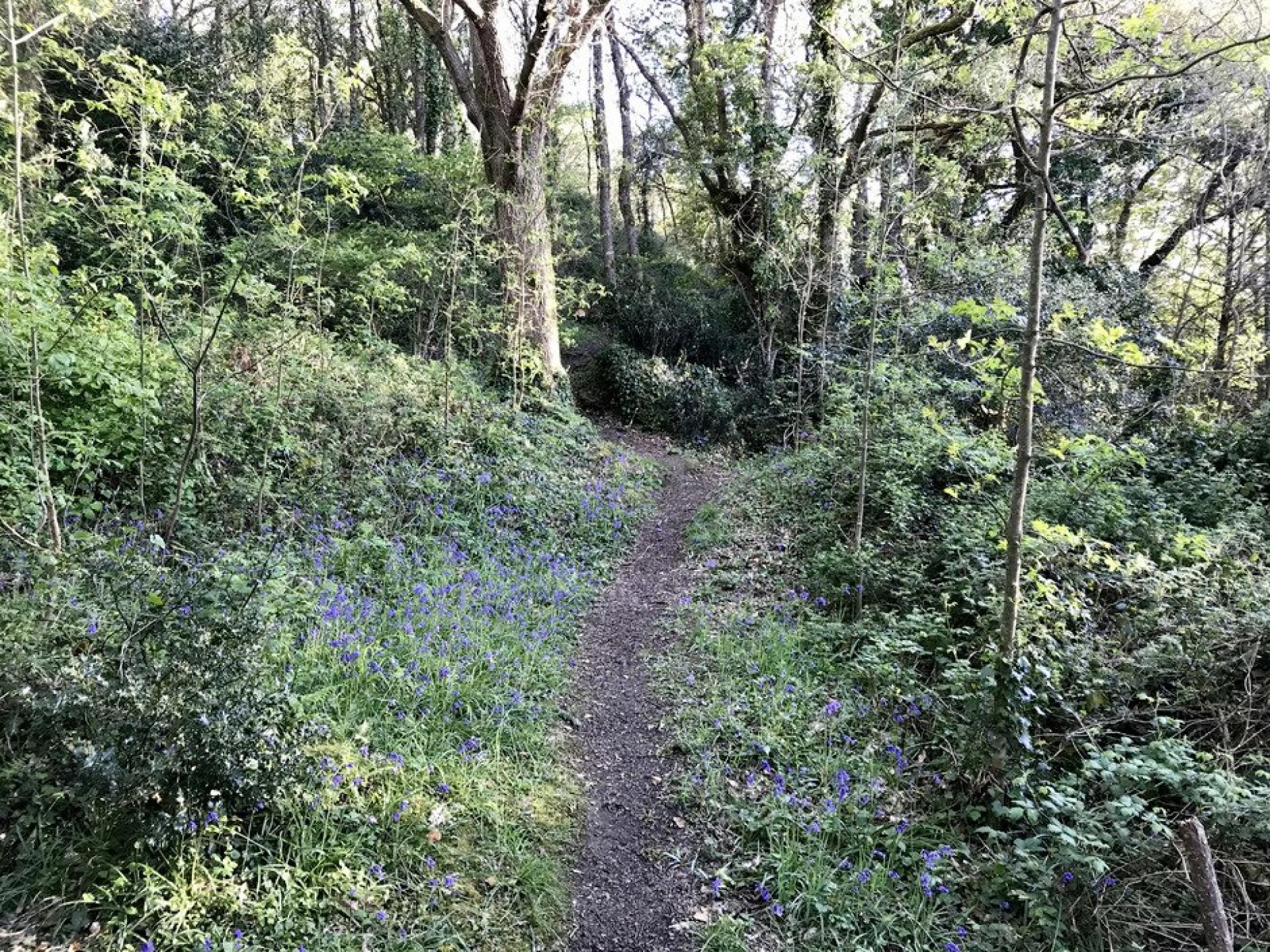 Photo 38 of the listing.