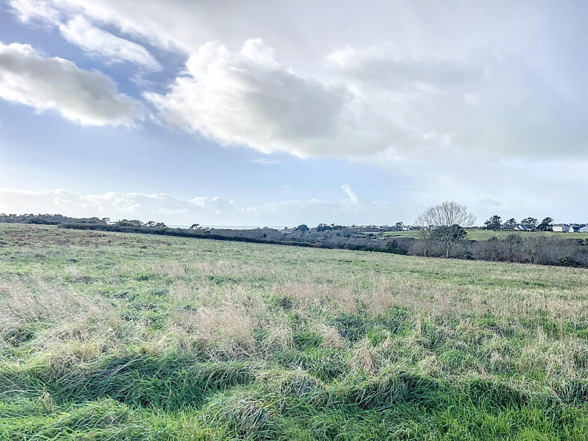 Photo 22 of the listing.