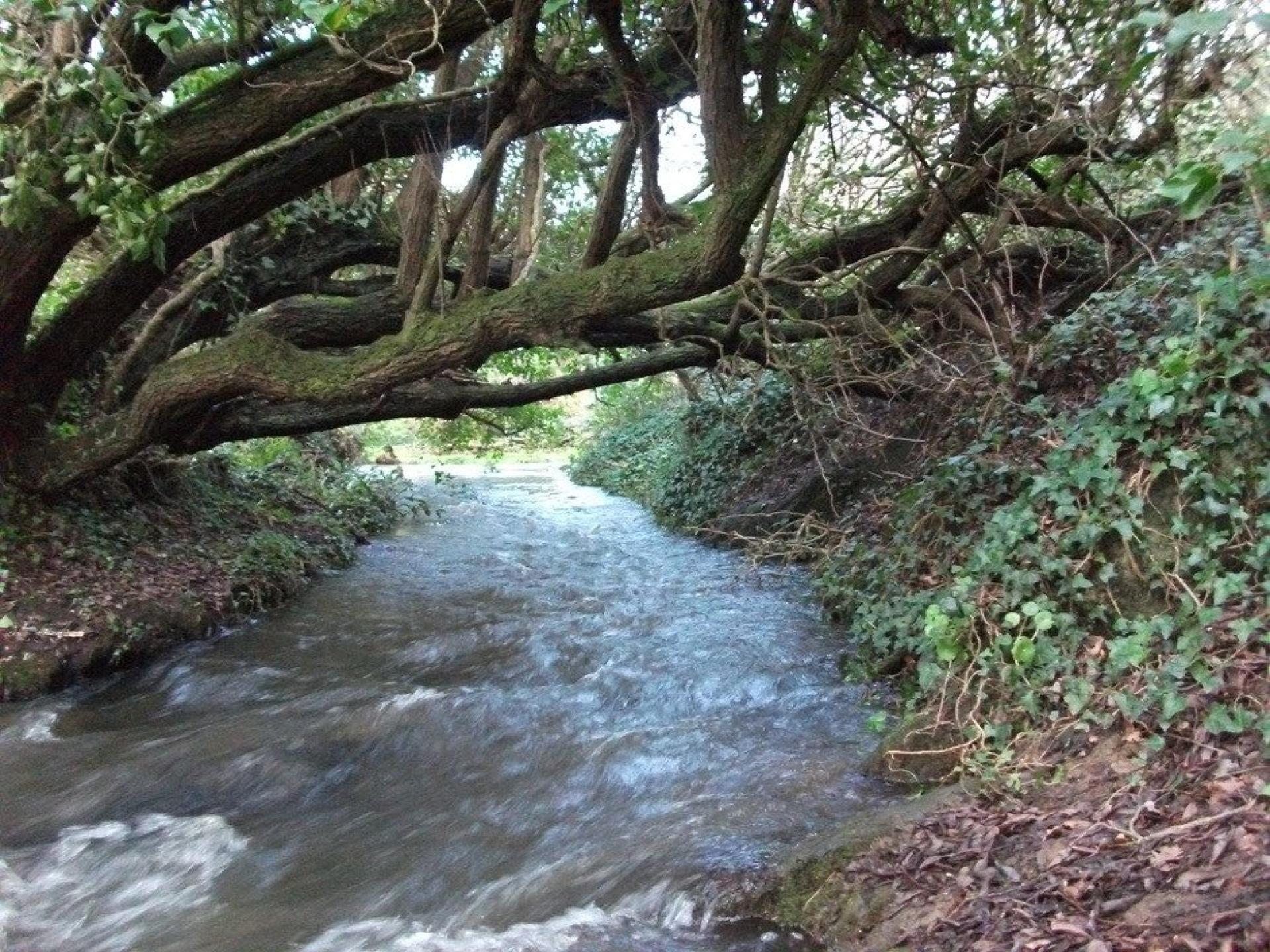 Photo 5 of the listing.