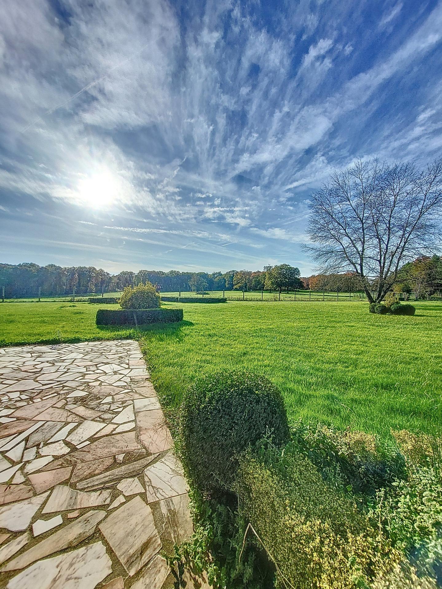 Photo 12 of the listing.