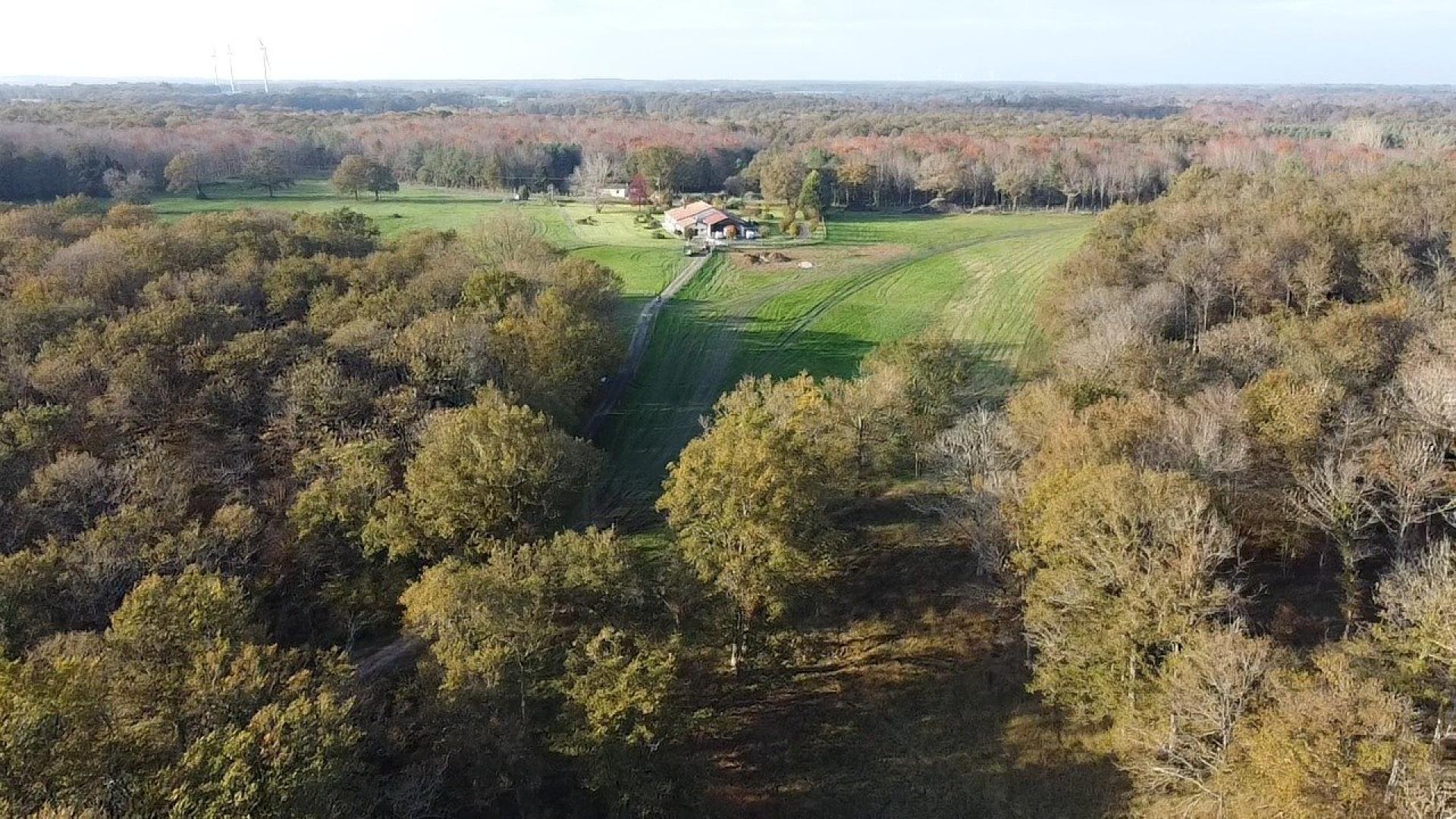 Photo 5 of the listing.