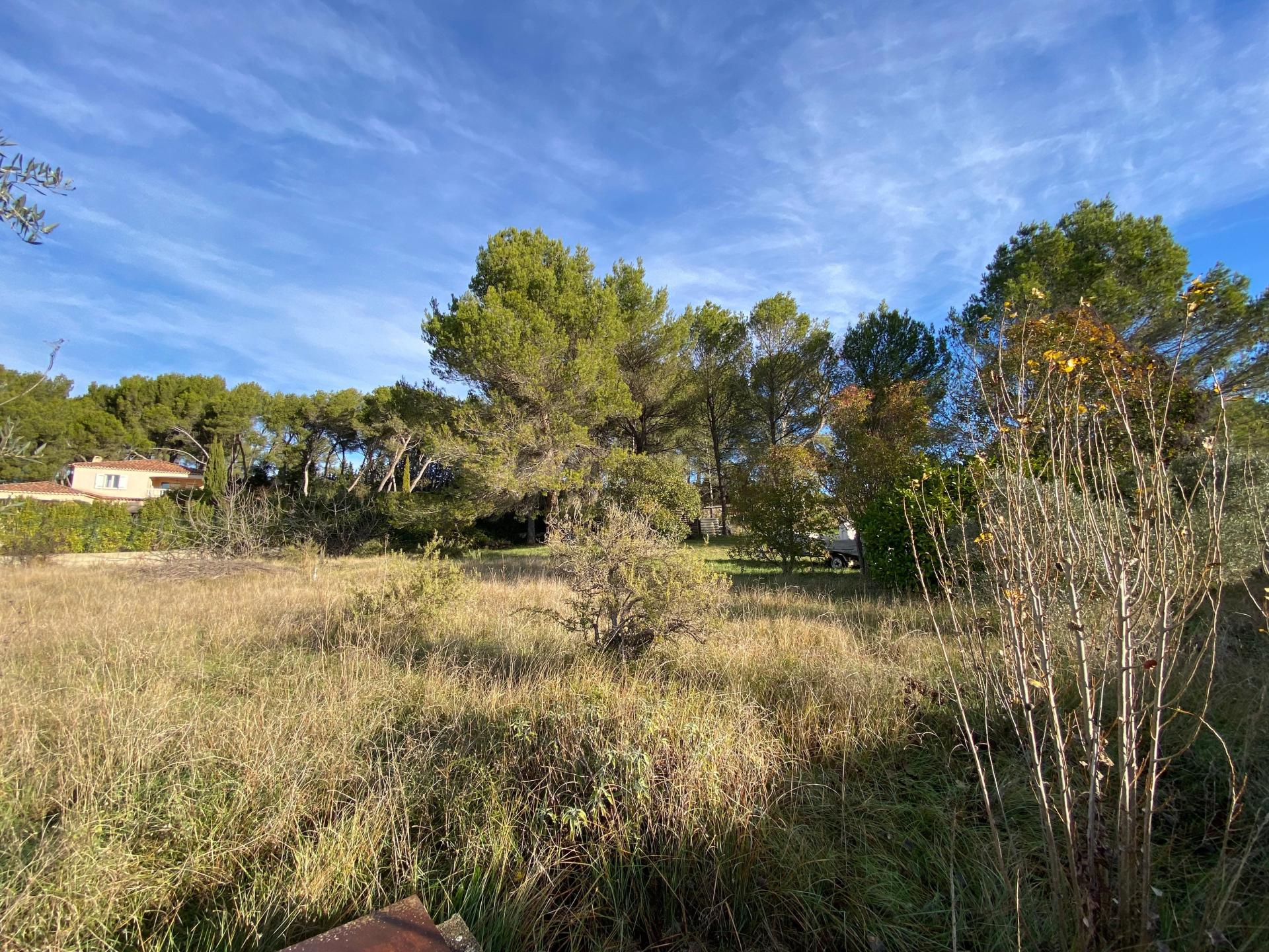 Photo 5 de l'annonce.