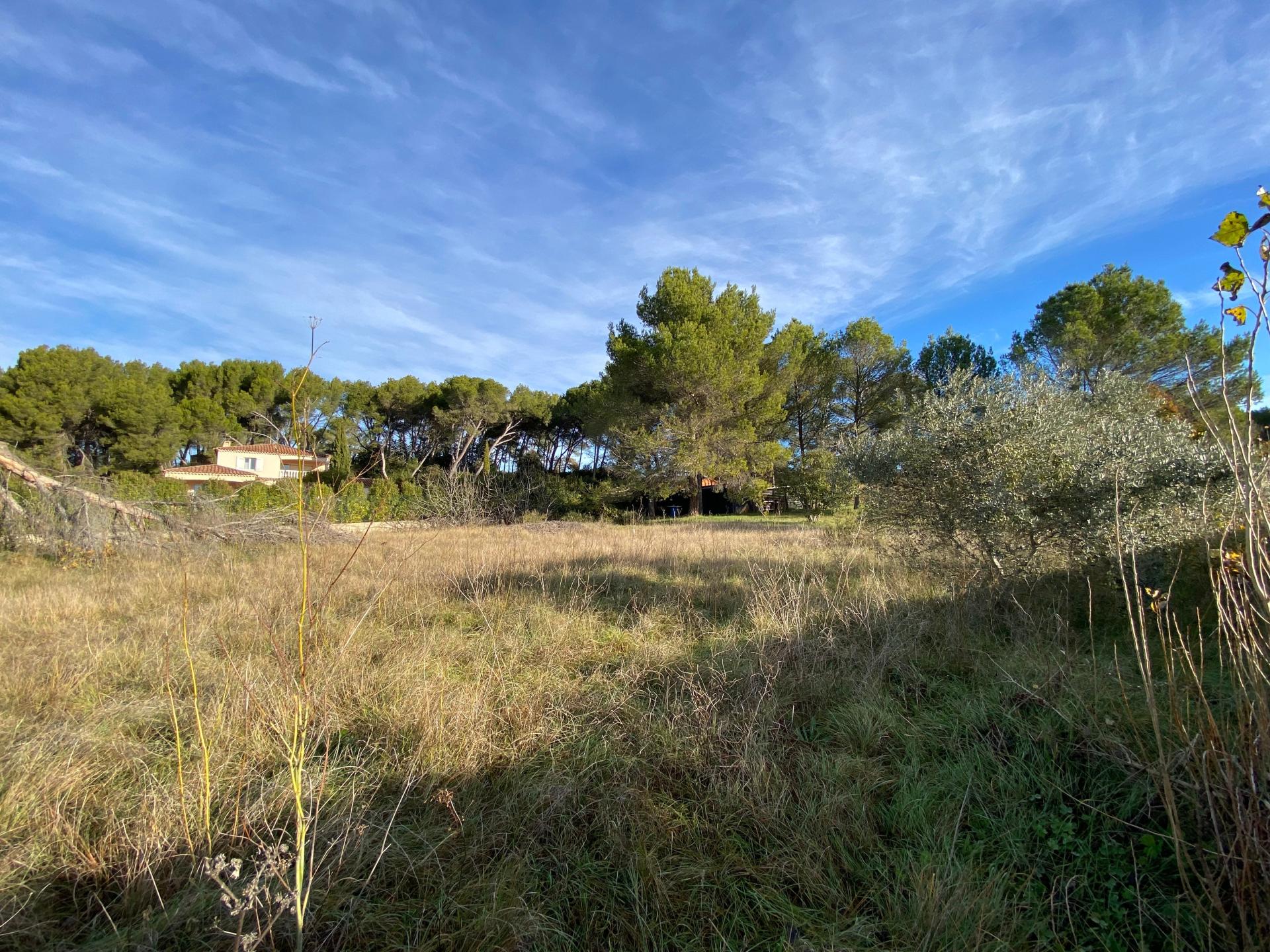 Photo 4 de l'annonce.