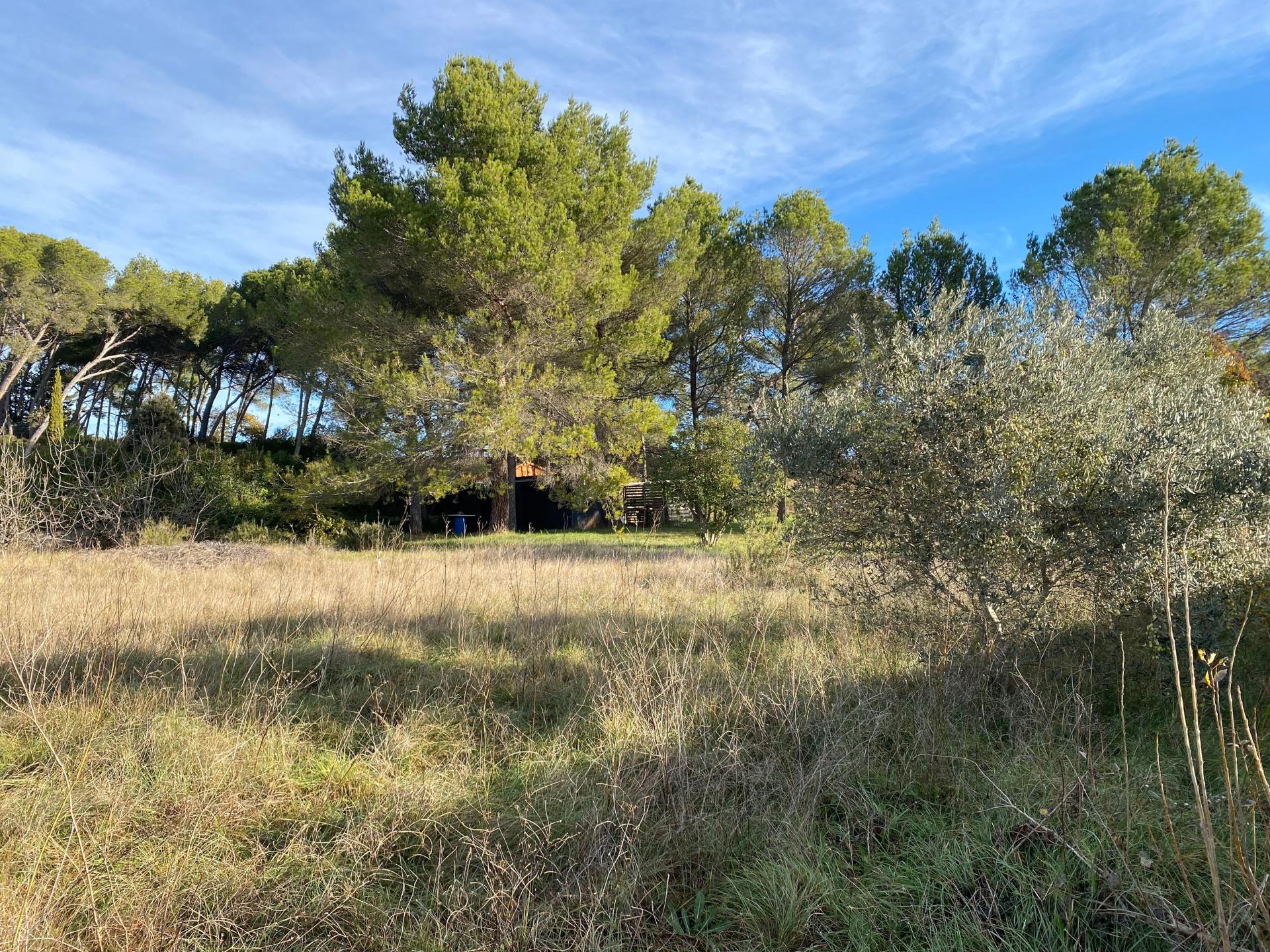 Photo 2 de l'annonce.