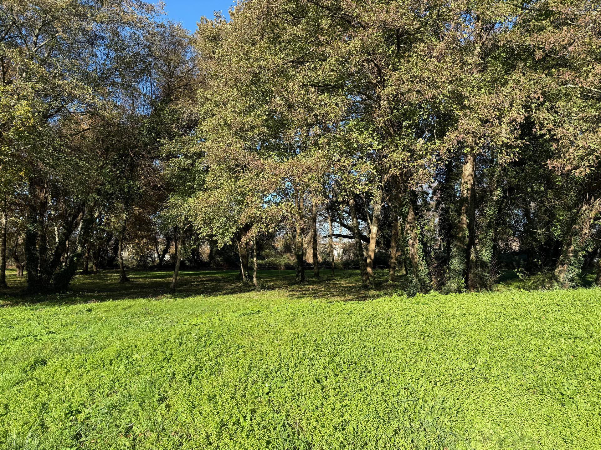 Photo-terrain