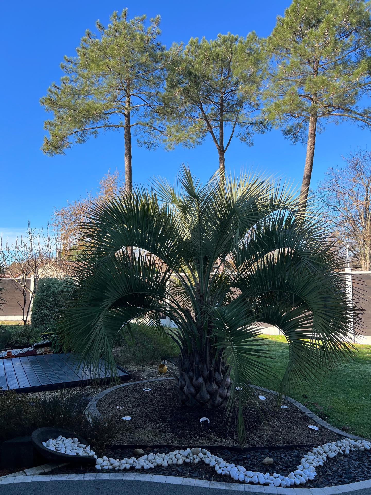 Photo 3 de l'annonce.