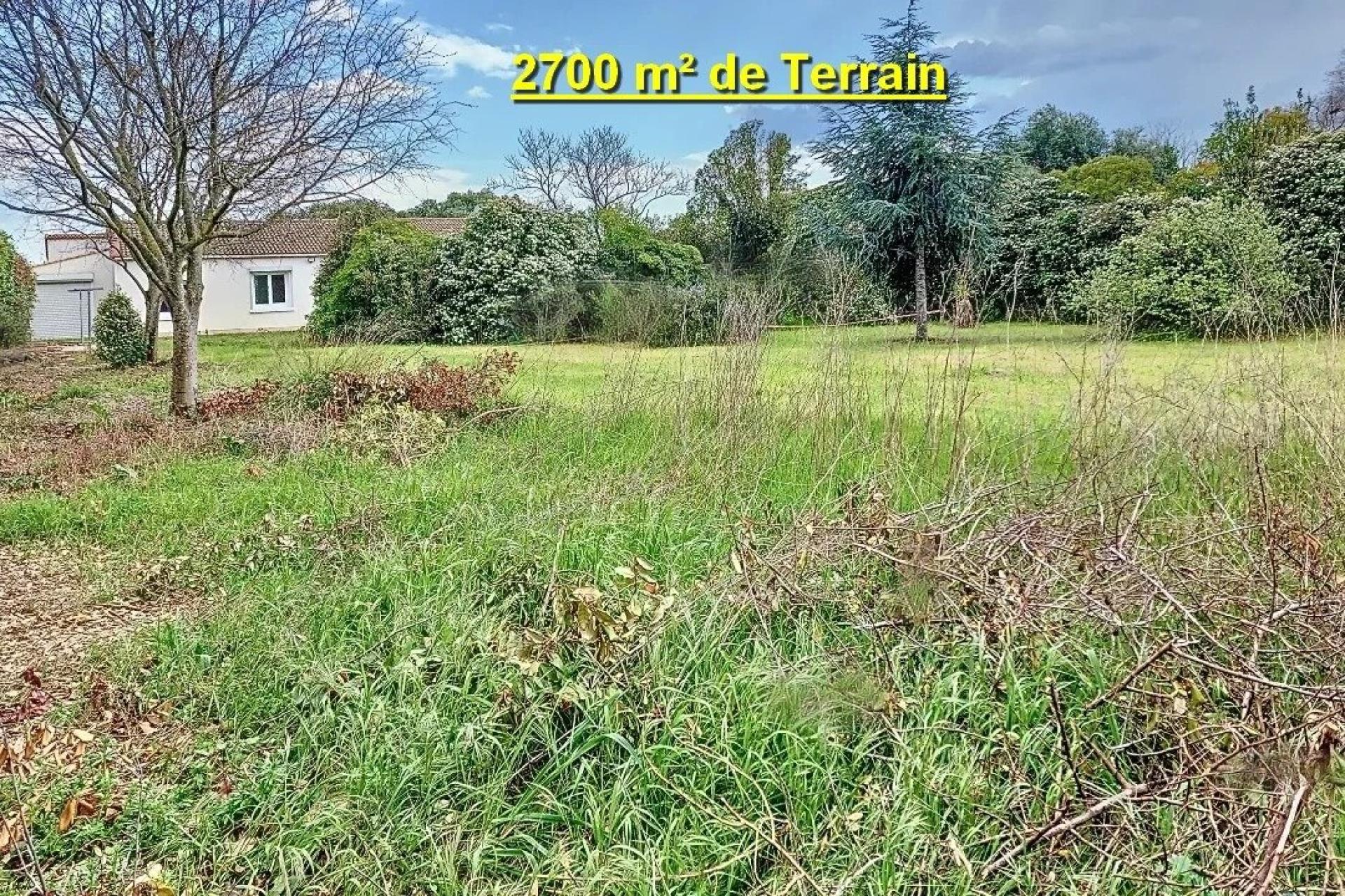 Photo 2 de l'annonce.