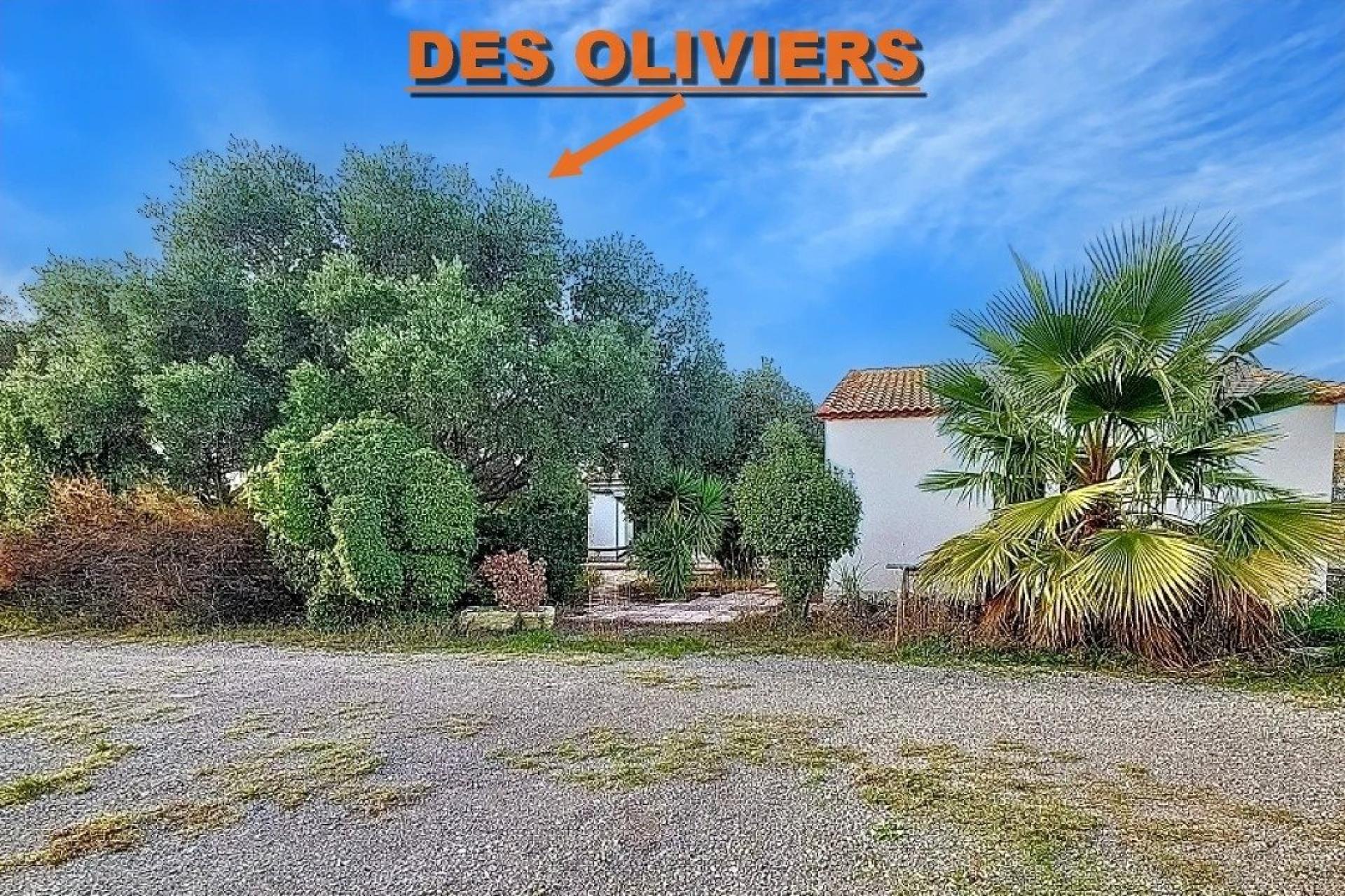 Photo 3 de l'annonce.