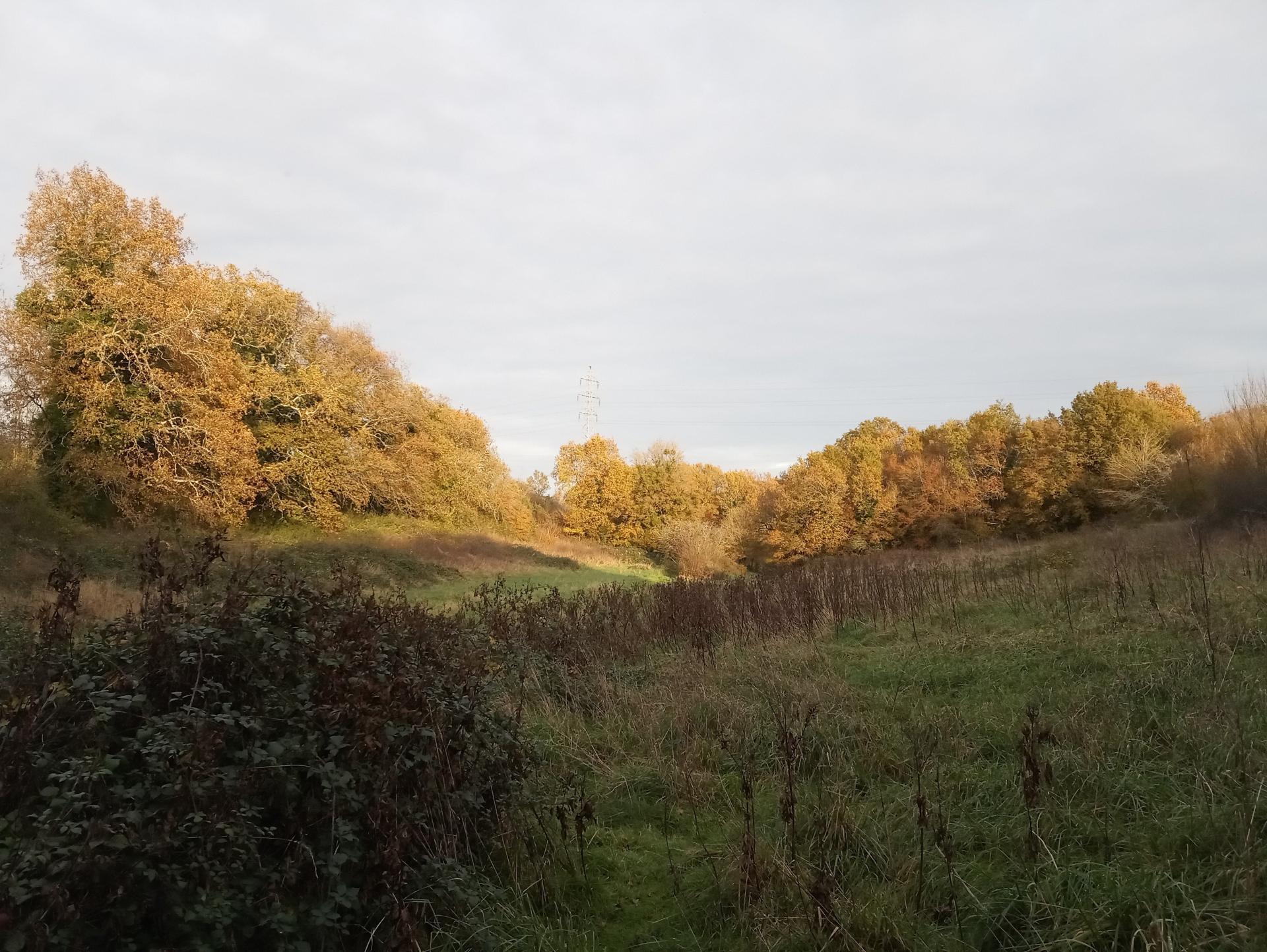 Photo-terrain