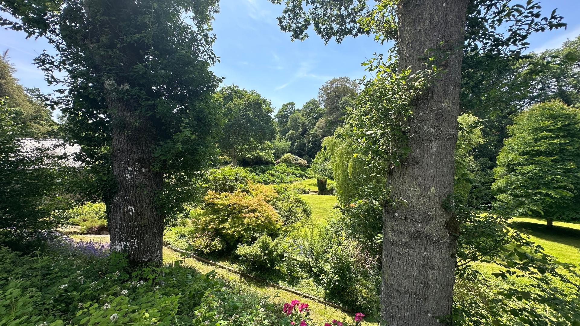 Photo 18 de l'annonce.