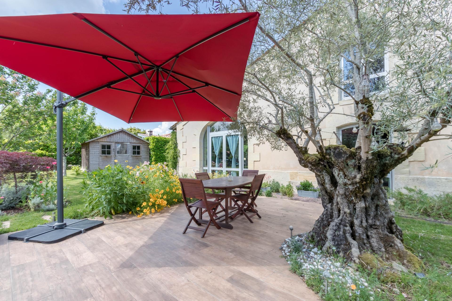 Photo 3 de l'annonce.