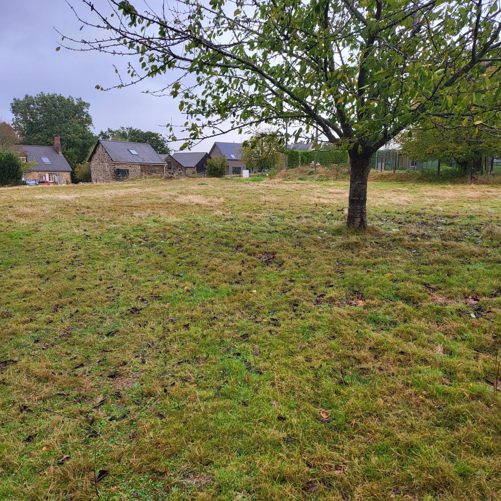 Photo-terrain