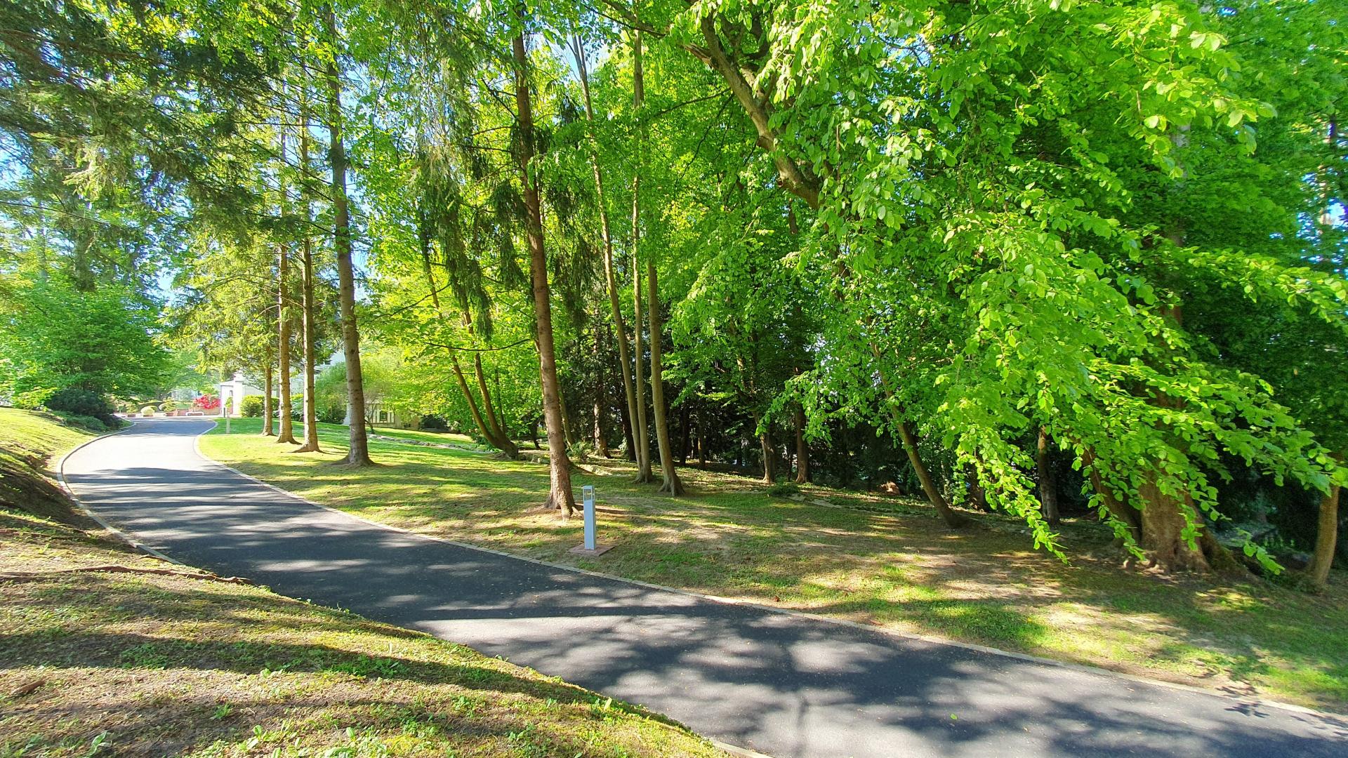 Photo 9 de l'annonce.