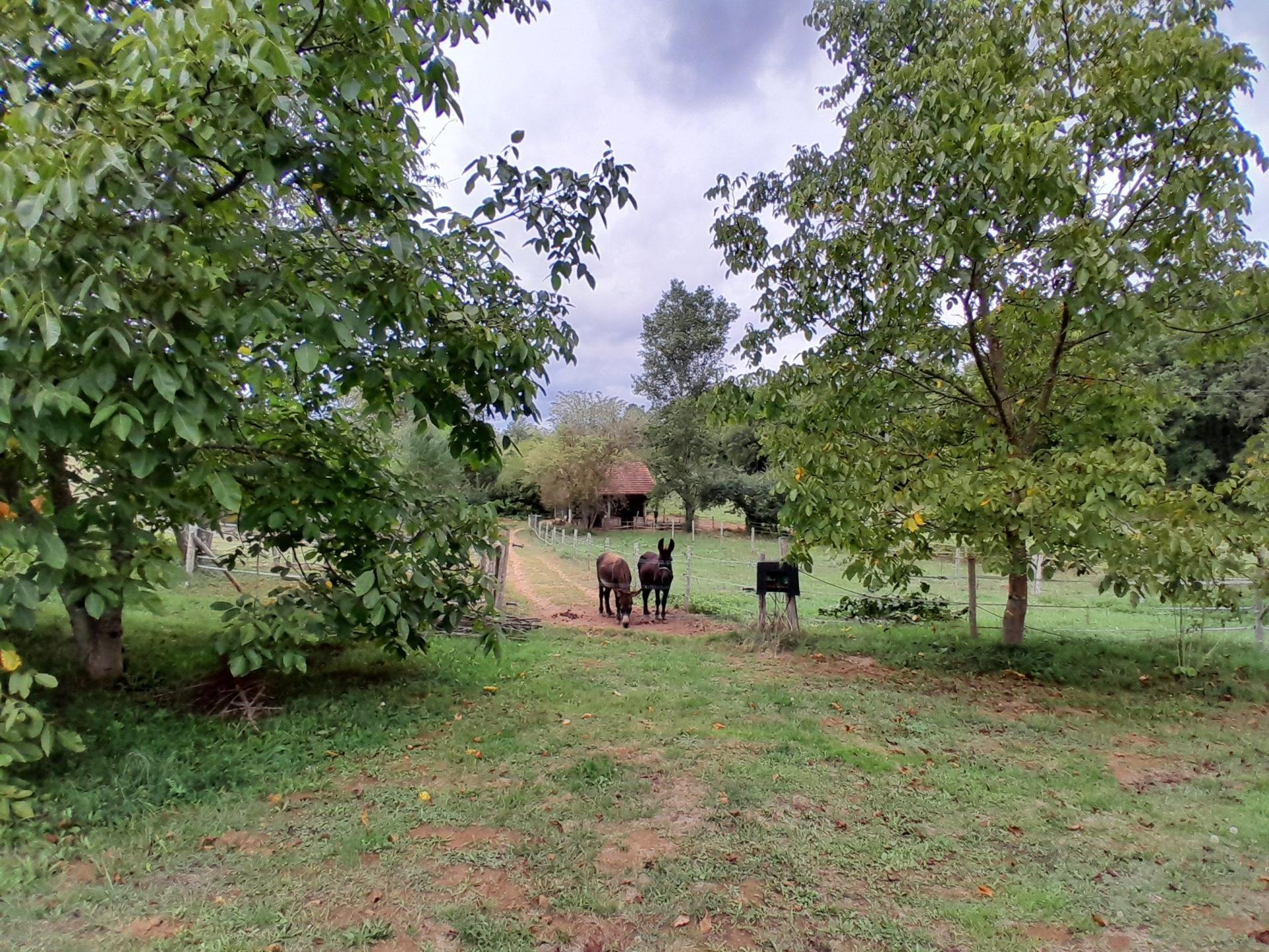 Photo 17 of the listing.