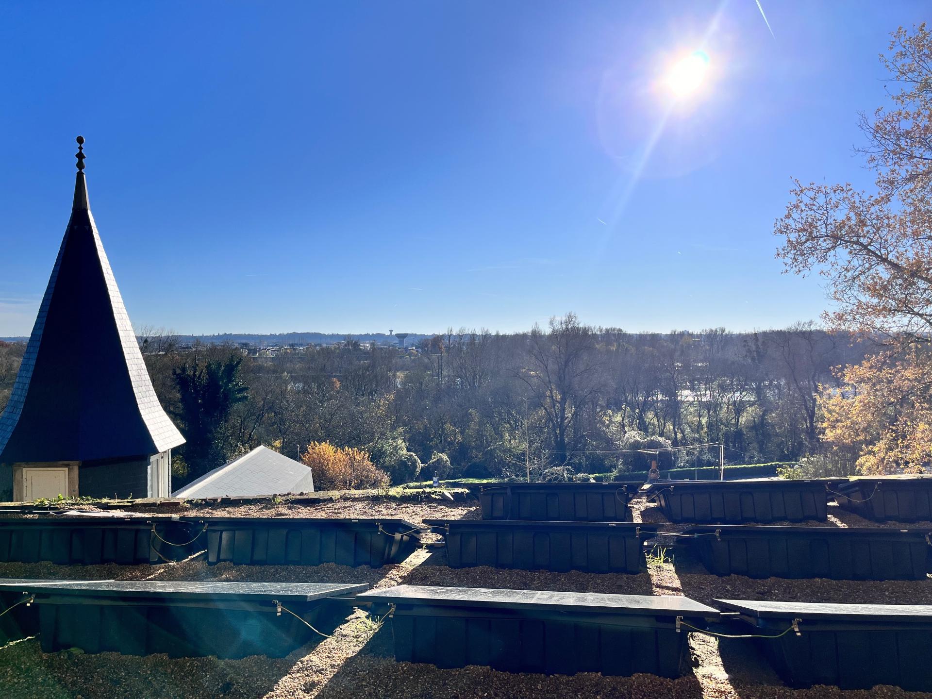 Photo 20 de l'annonce.