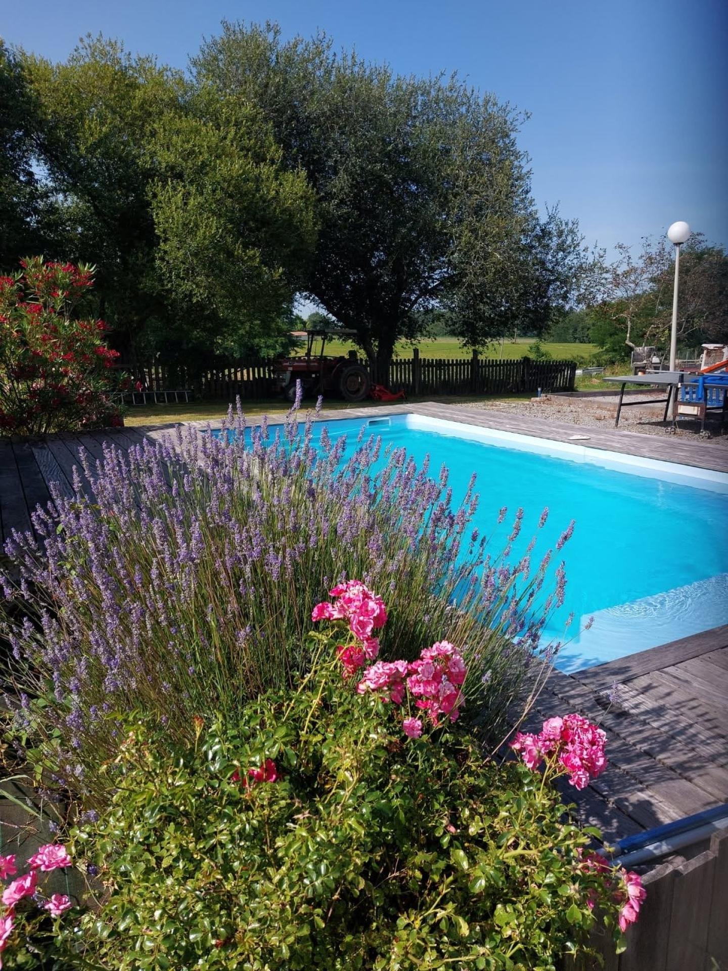 Photo 20 of the listing.