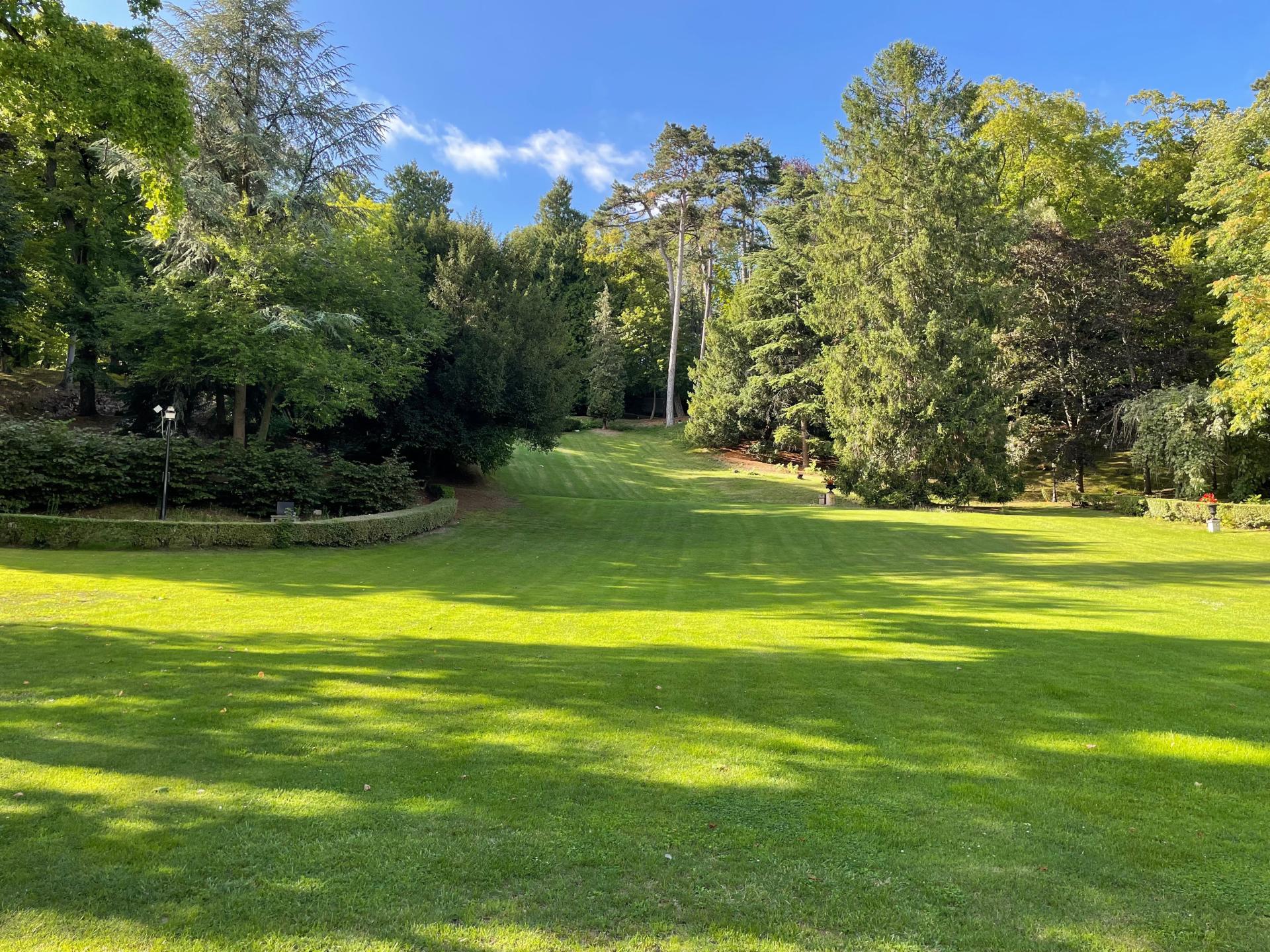 Photo 7 of the listing.