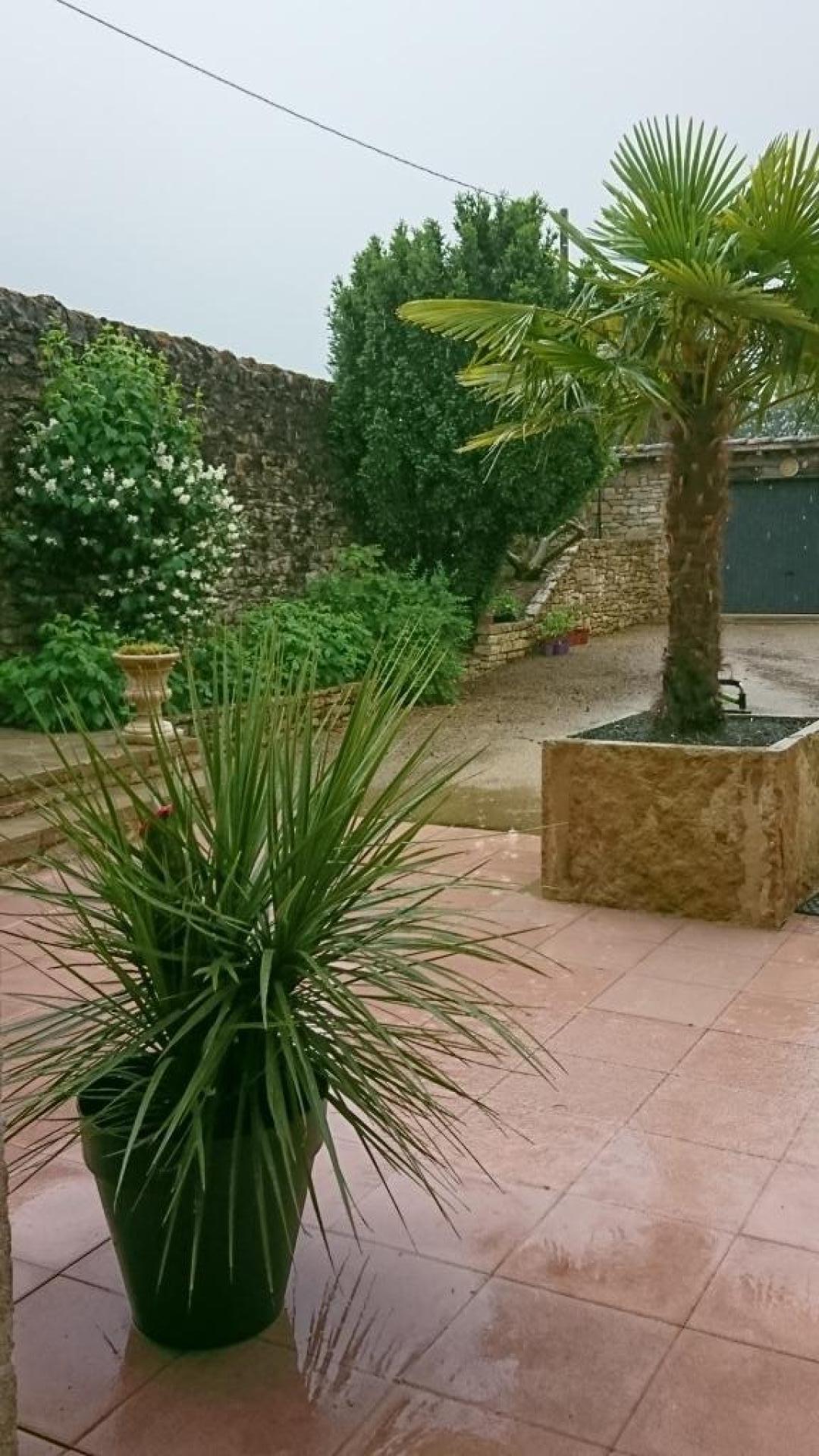 Photo 8 of the listing.