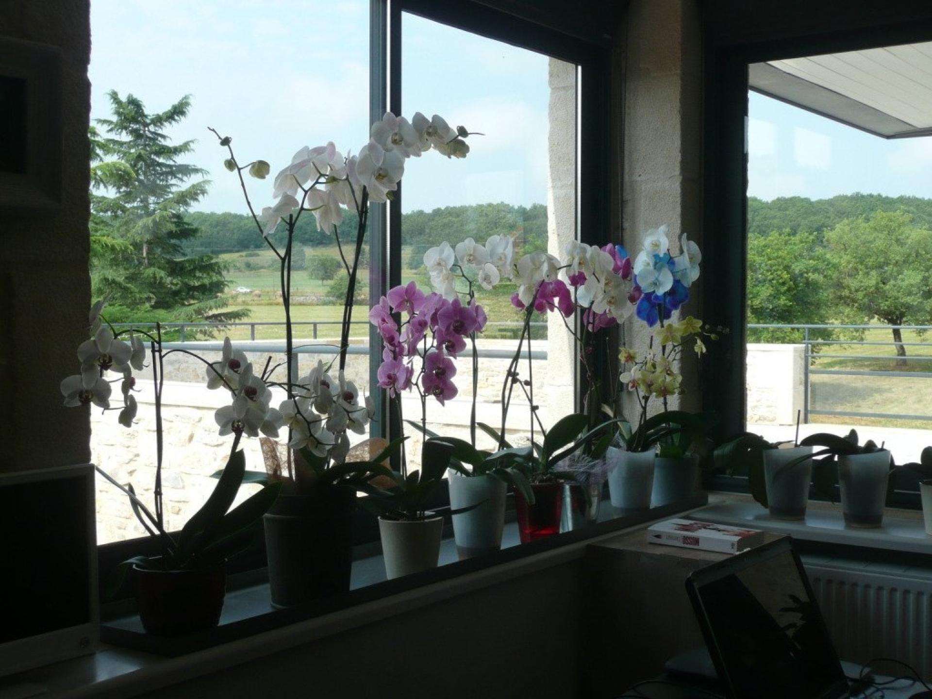 Photo 4 of the listing.