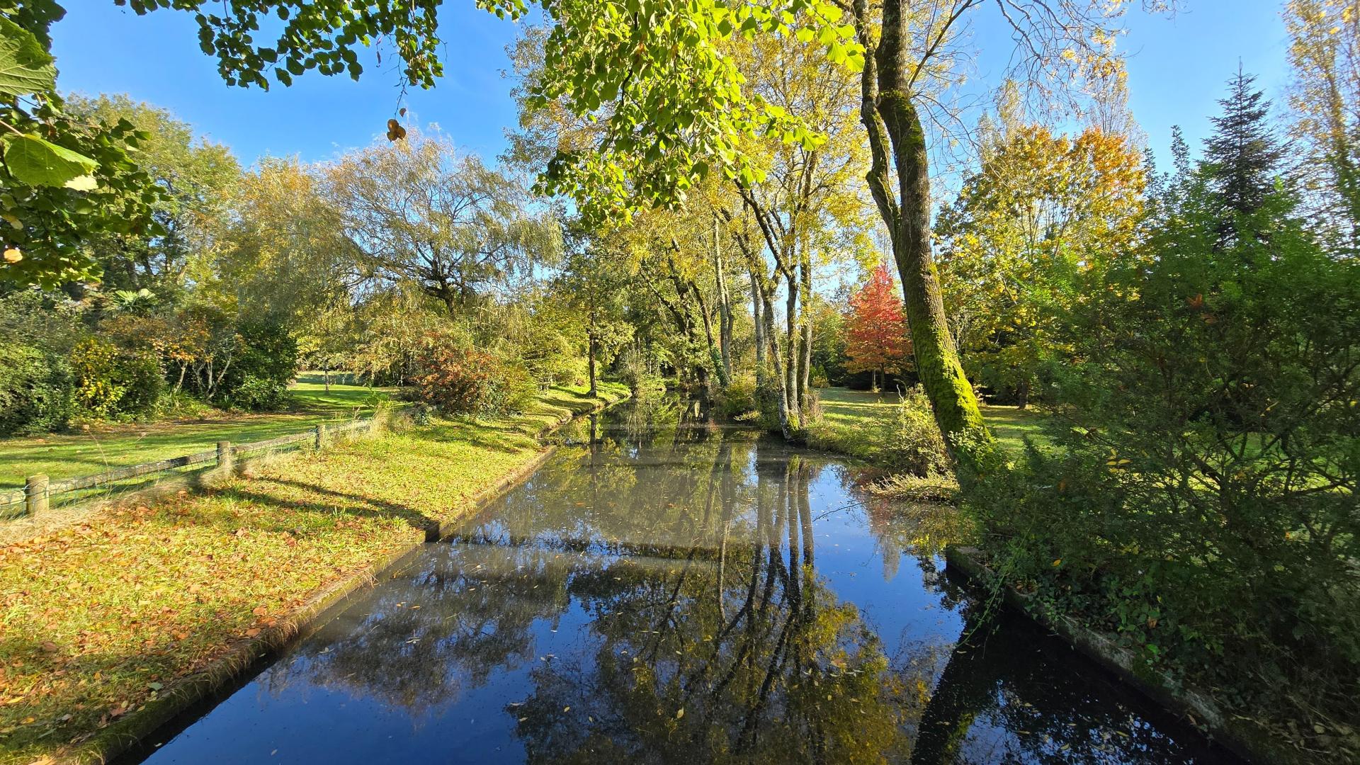 Photo 11 de l'annonce.