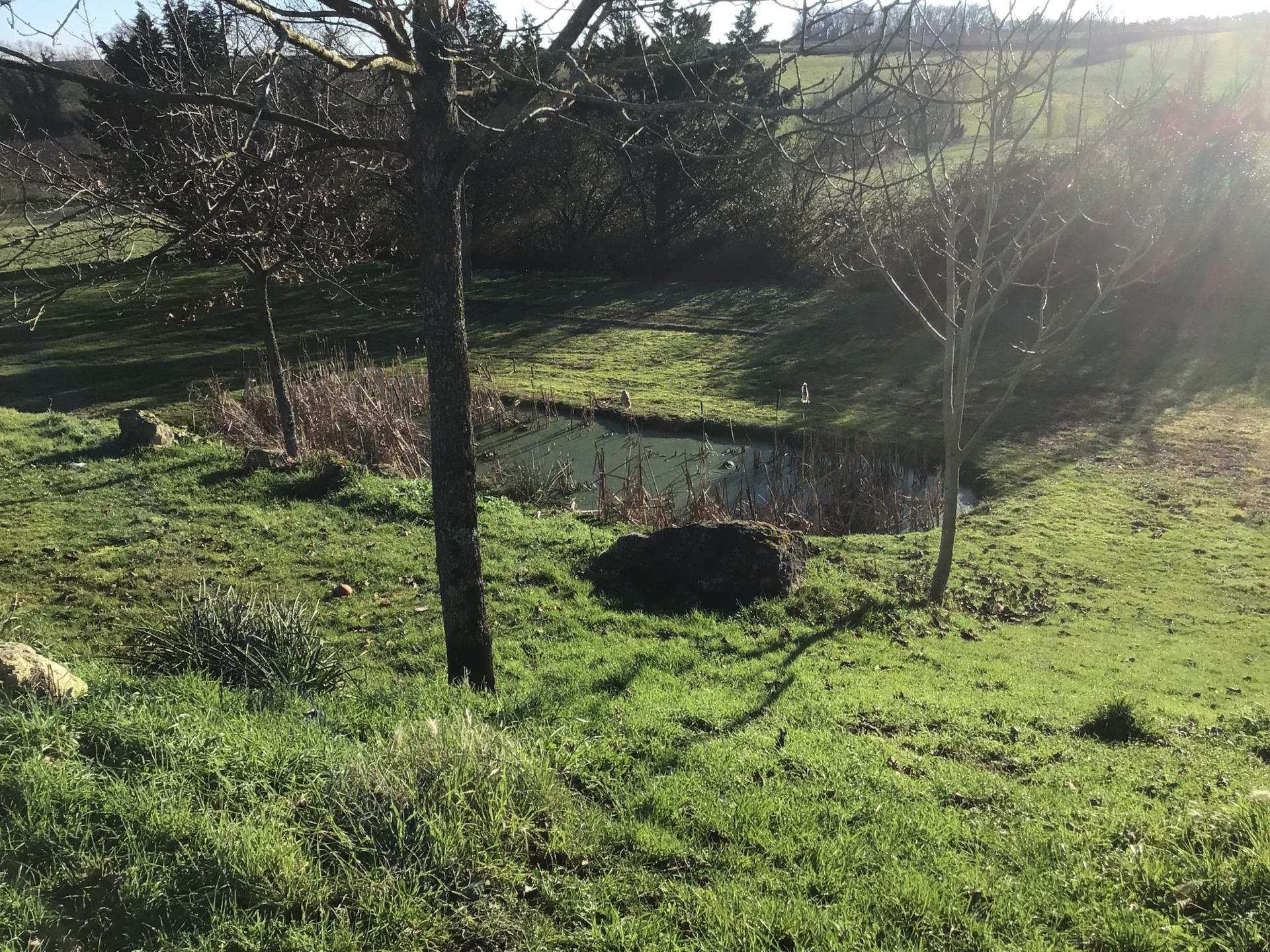 Photo 18 de l'annonce.