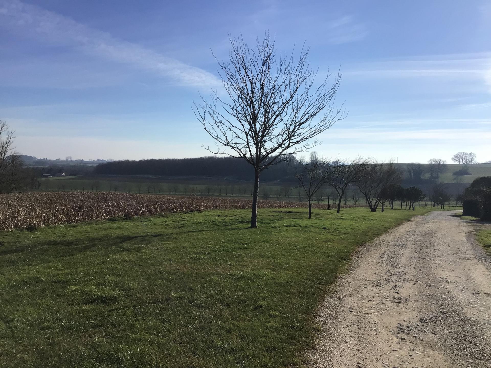 Photo 21 de l'annonce.