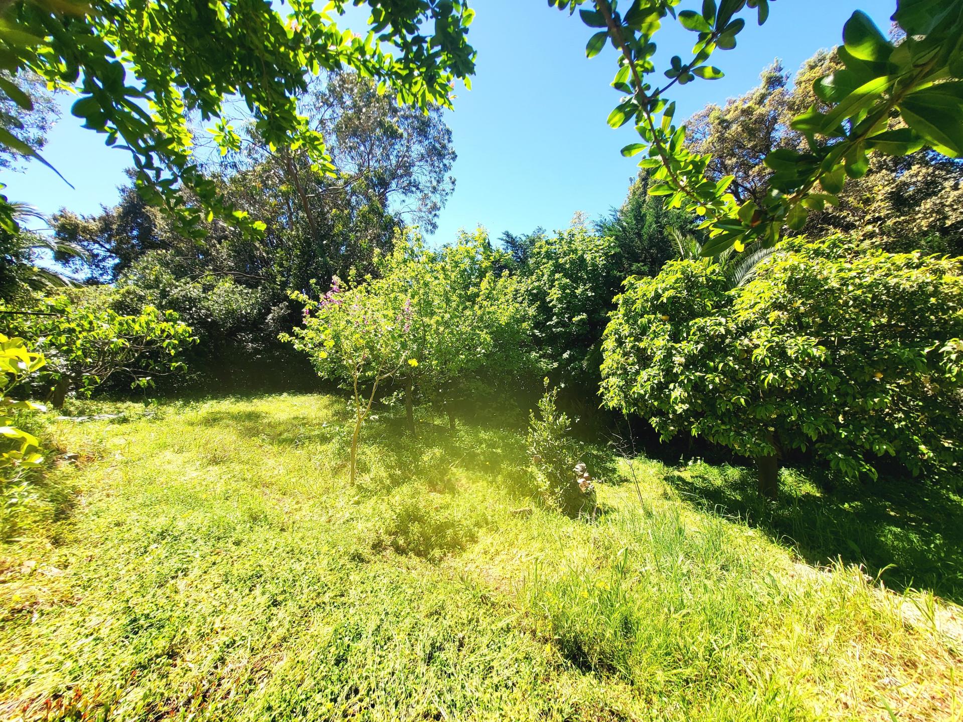 Photo 9 de l'annonce.