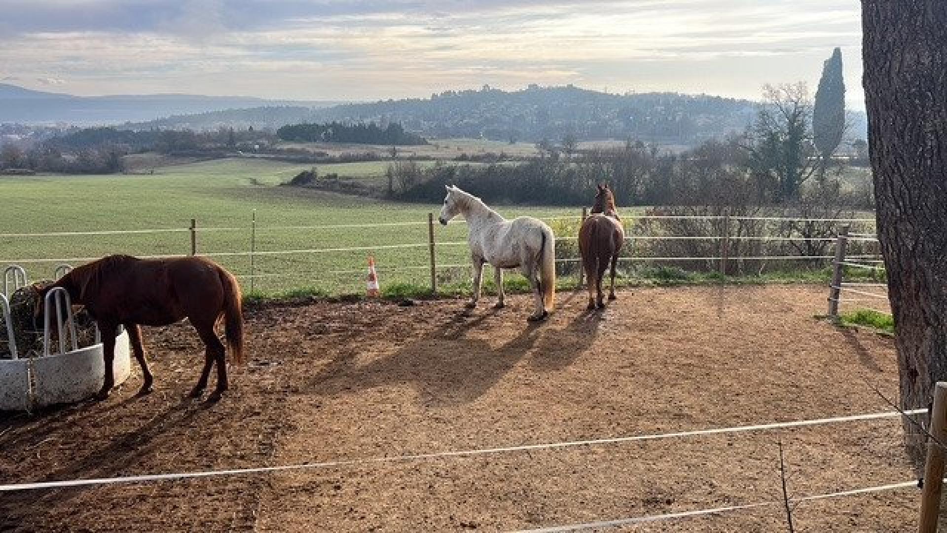 Photo 11 of the listing.