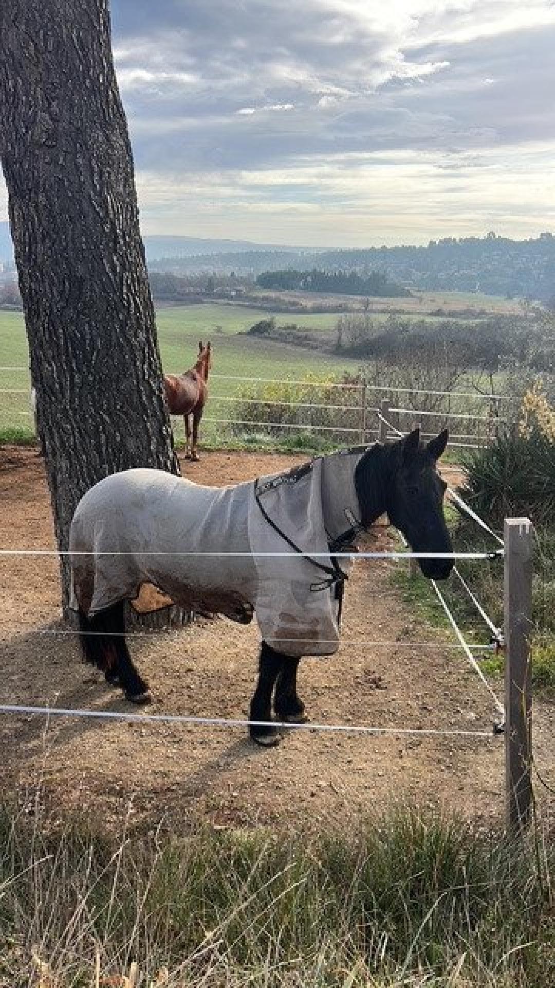 Photo 12 of the listing.