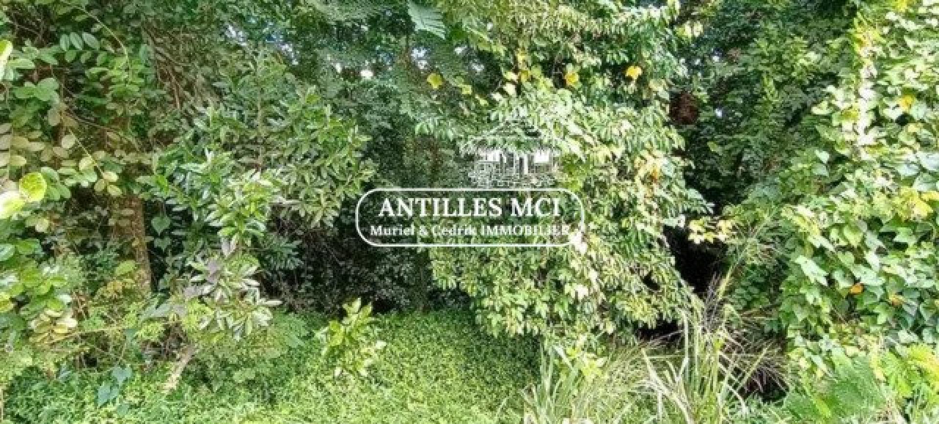 Photo 3 de l'annonce.