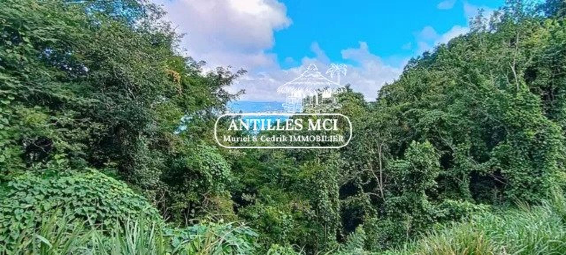 Photo 2 de l'annonce.