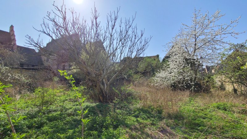 Photo 9 of the listing.