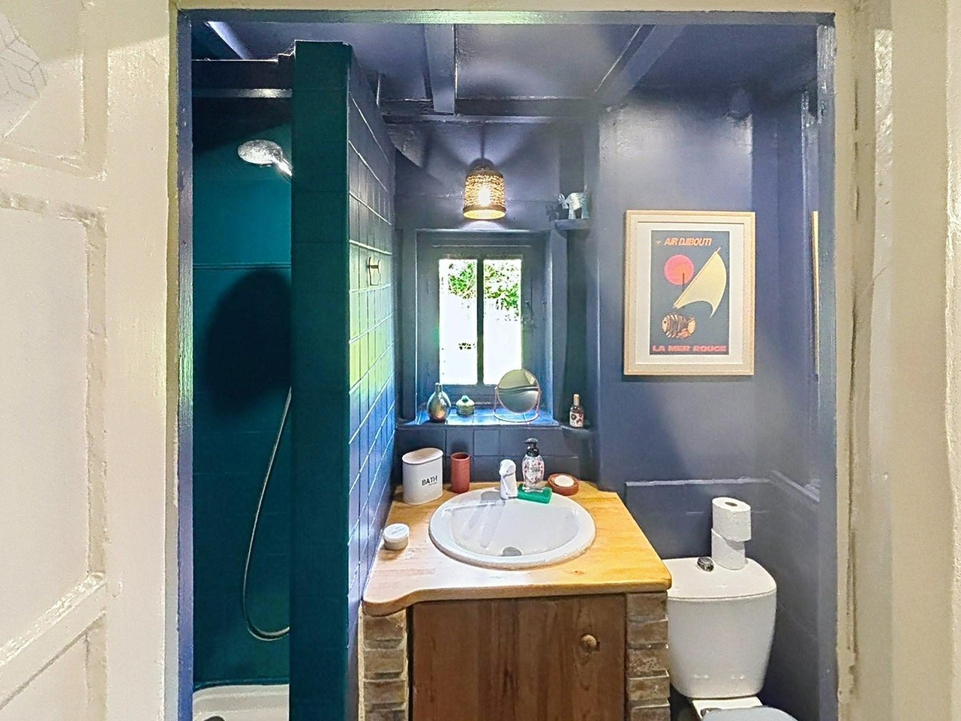 Photo 11 de l'annonce.