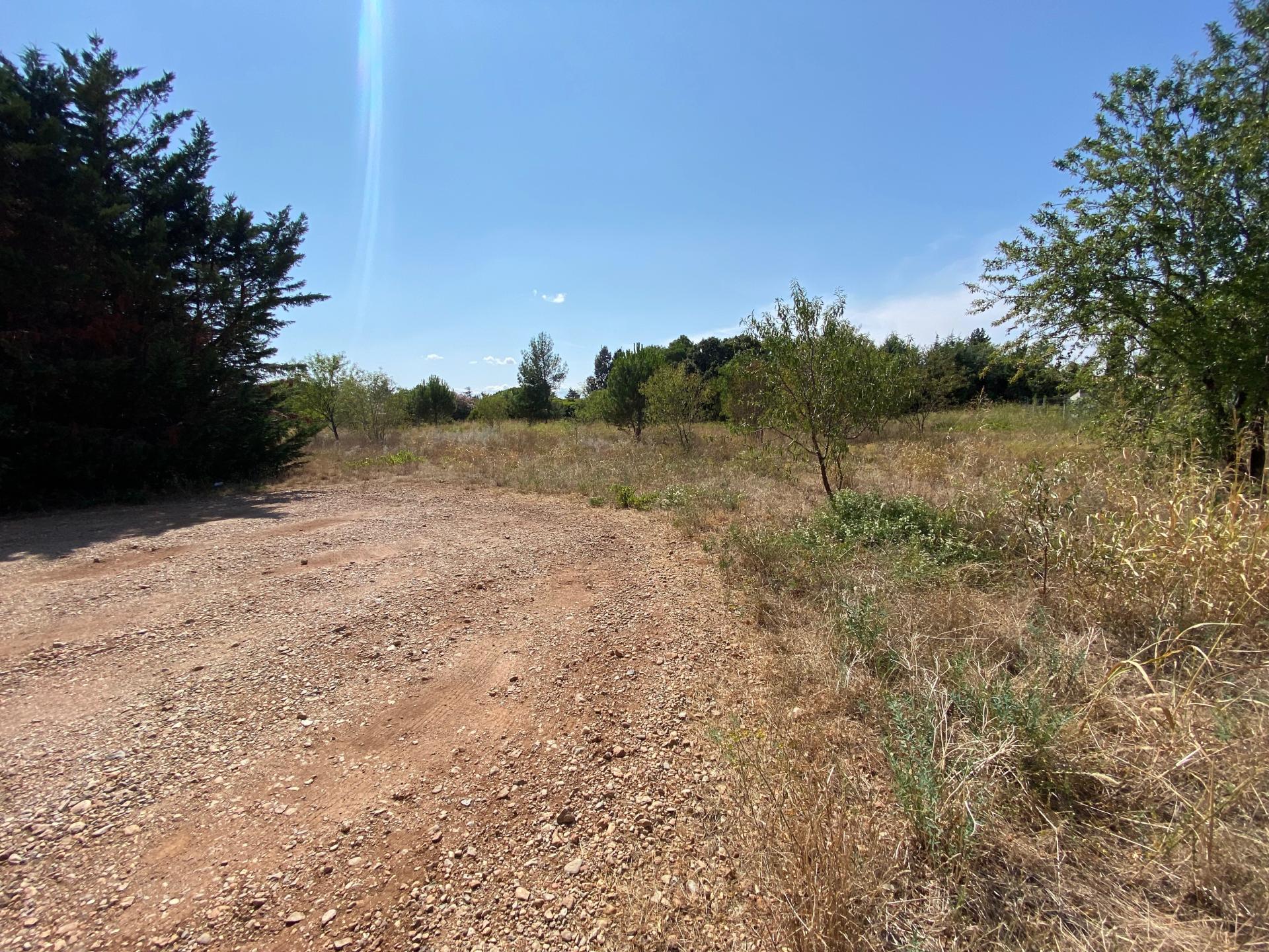 Photo 2 de l'annonce.