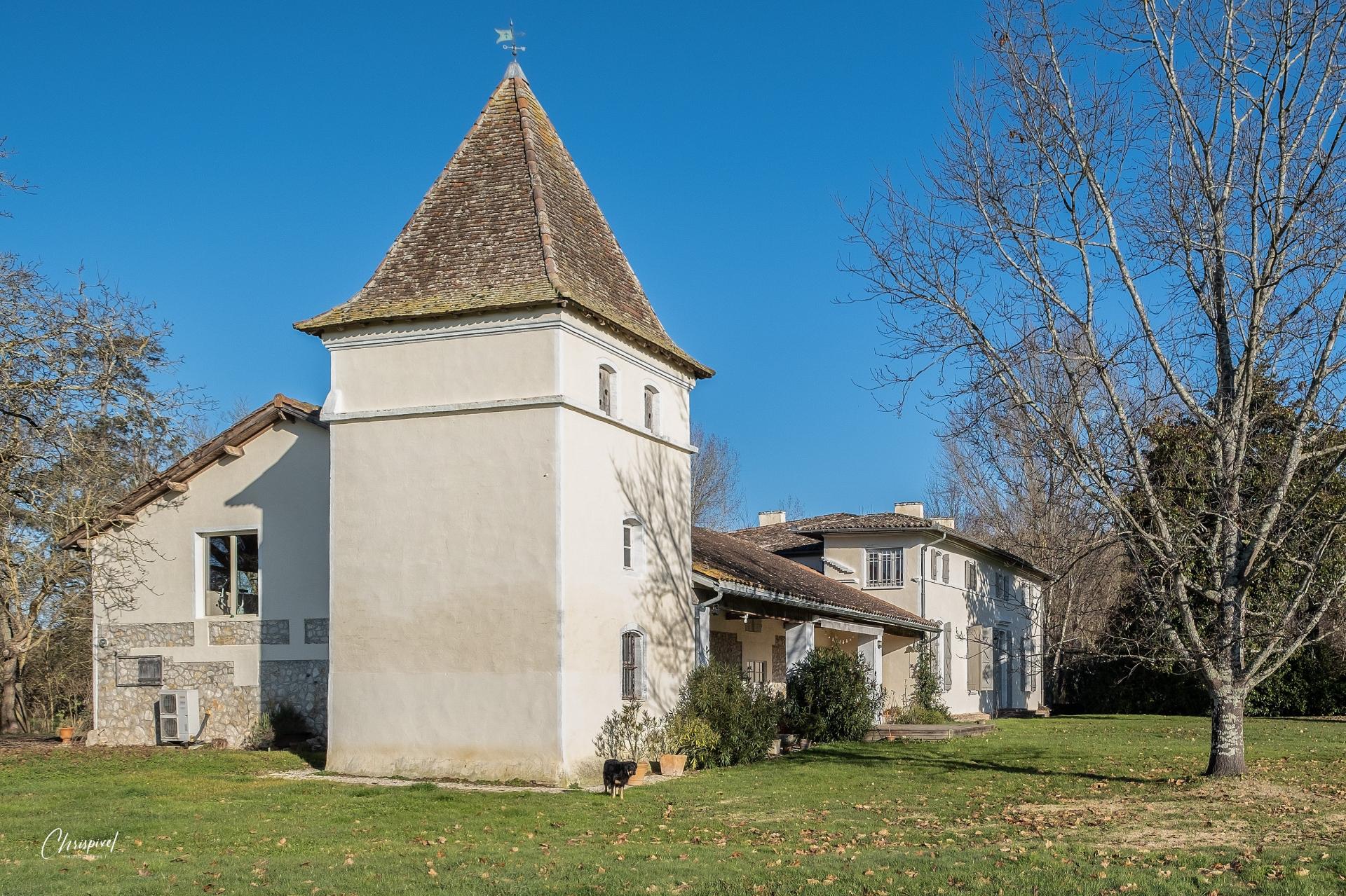 Photo 15 de l'annonce.